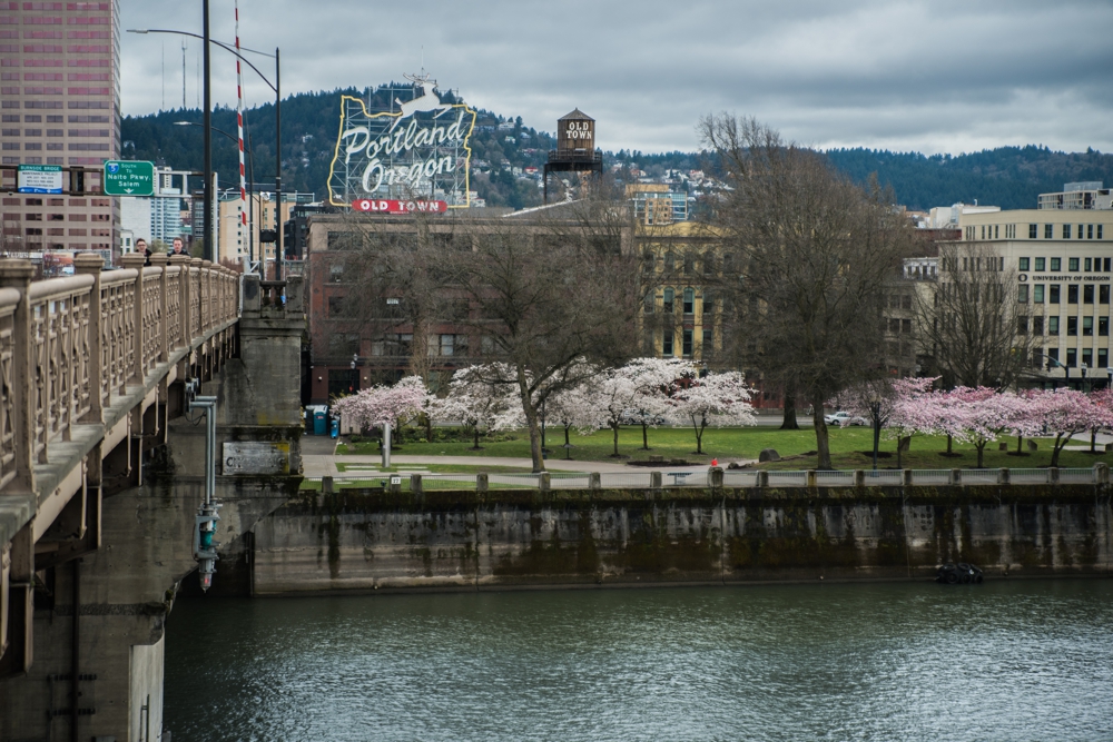 Portland blog day 3 20.jpg