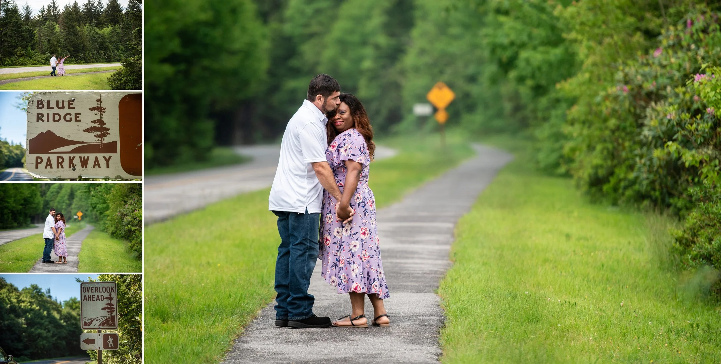 Destination Engagement Photos in Asheville, NC