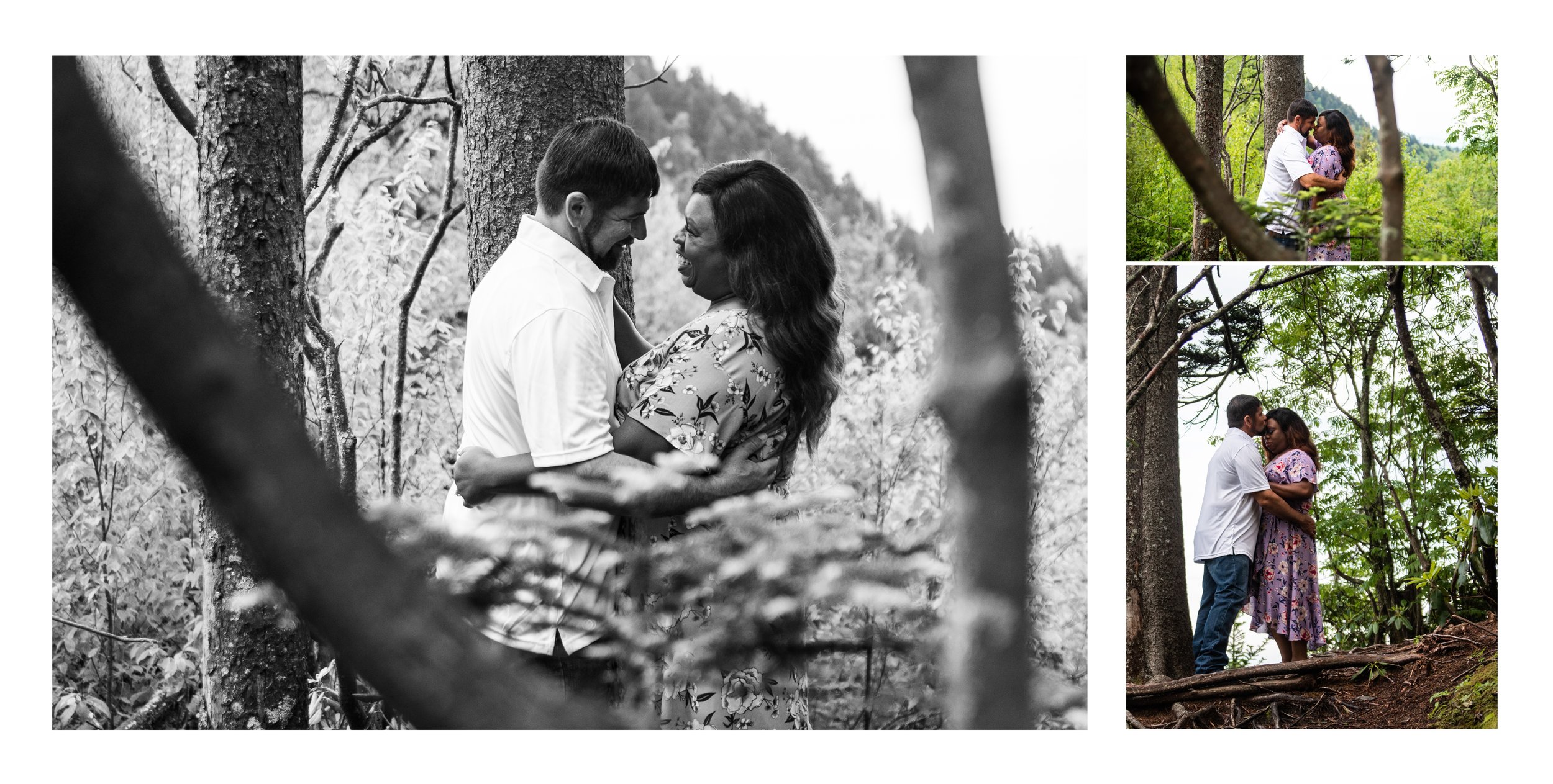 Destination Engagement Photo Album in Asheville, NC