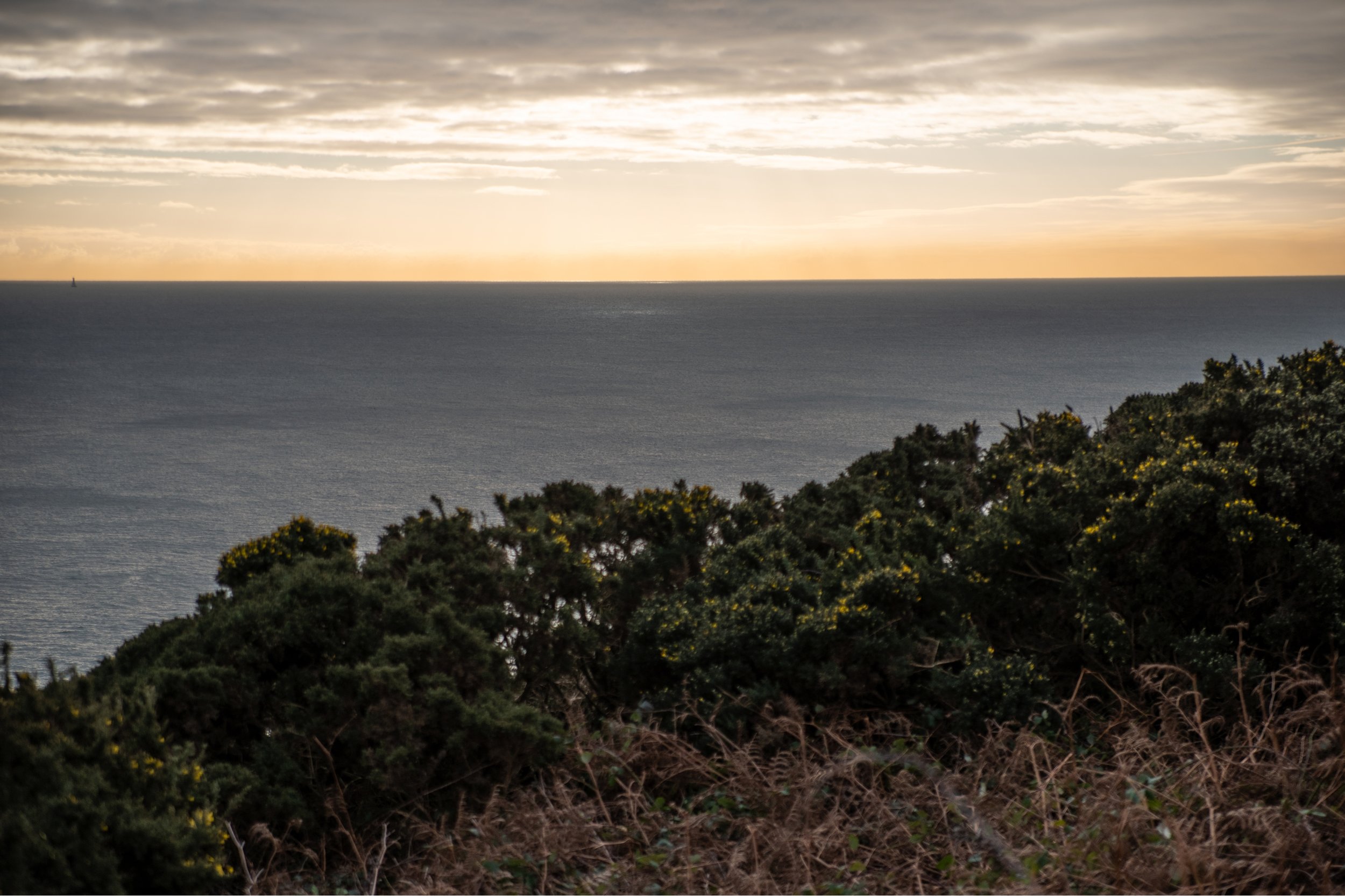 Landscape Photography at Howth Cliffwalk, Ireland