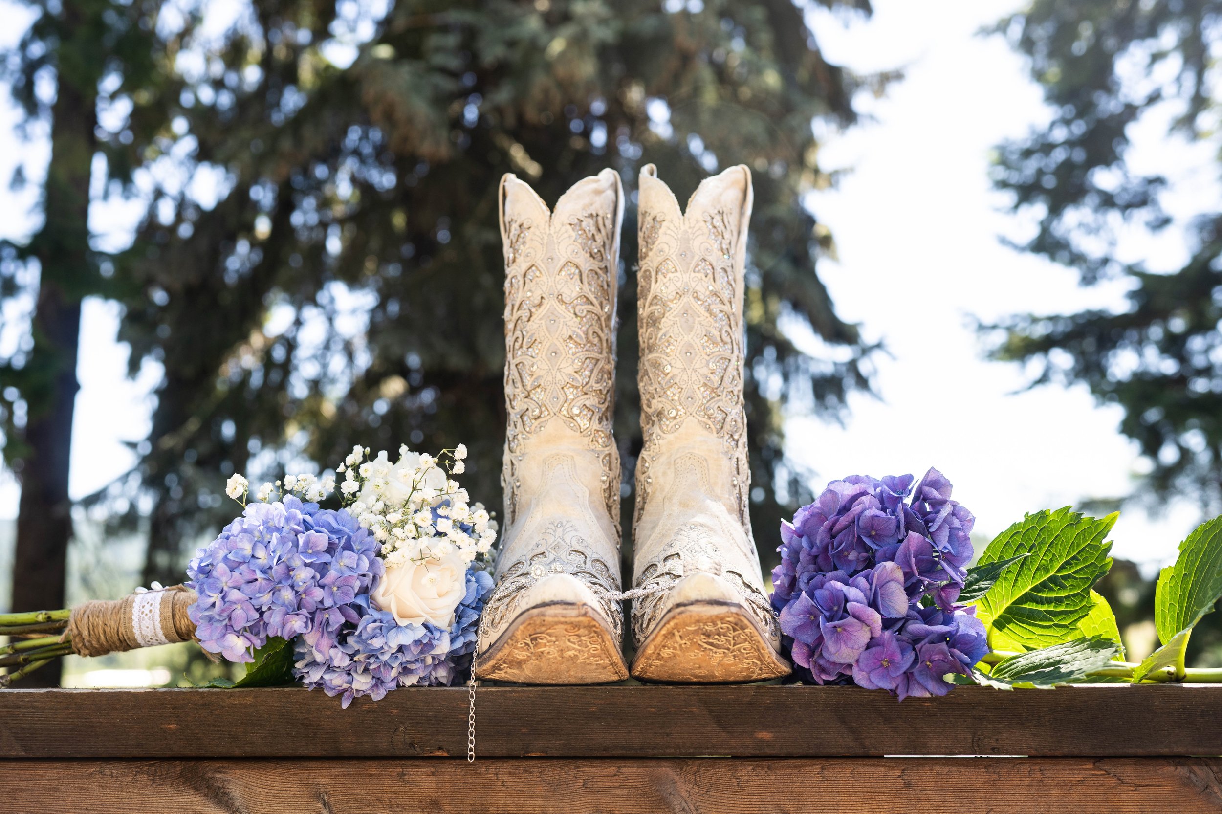 Lacey + Michael Mt Hood Oregon Wedding Blog 1 5.jpg