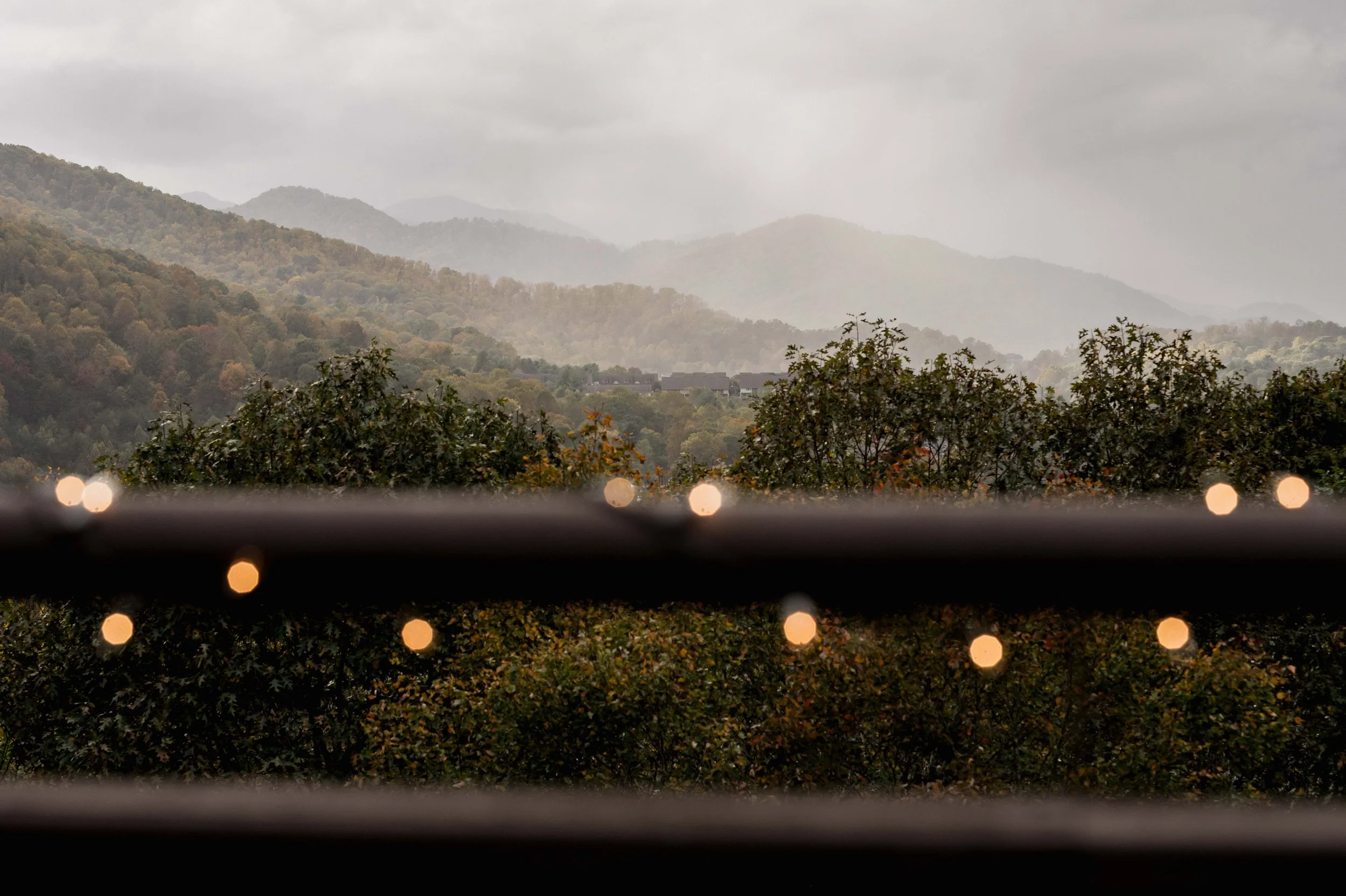 Jewel Toned Queer Wedding with Private Vows and a Mountain View at the Crest Center in Asheville, NC blog 2 1.jpg