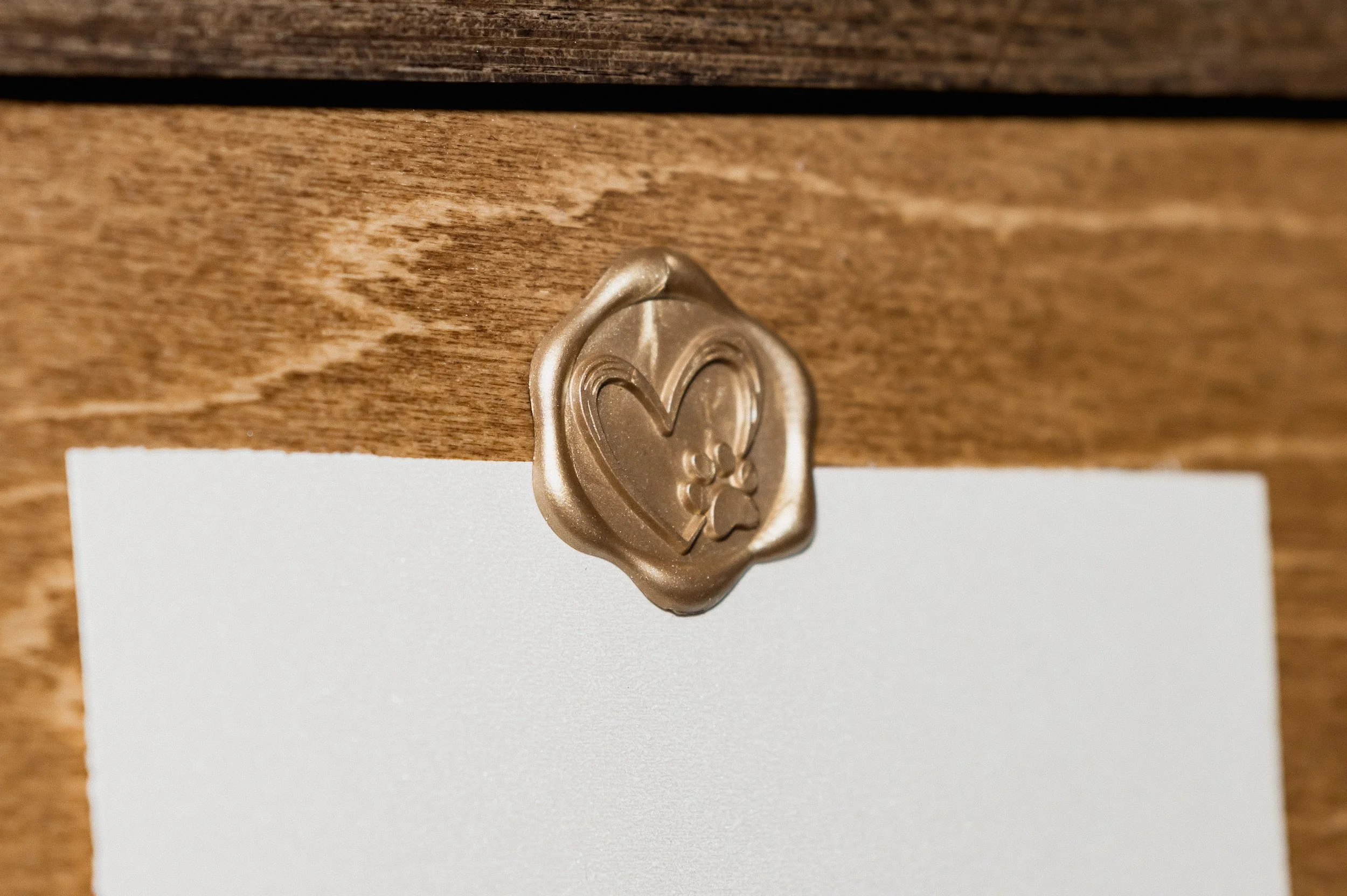 Texas-Meets-North Carolina October Mountain View Wedding at The Crest Center in Asheville, NC_North Carolina Wedding Photographer-176.jpg