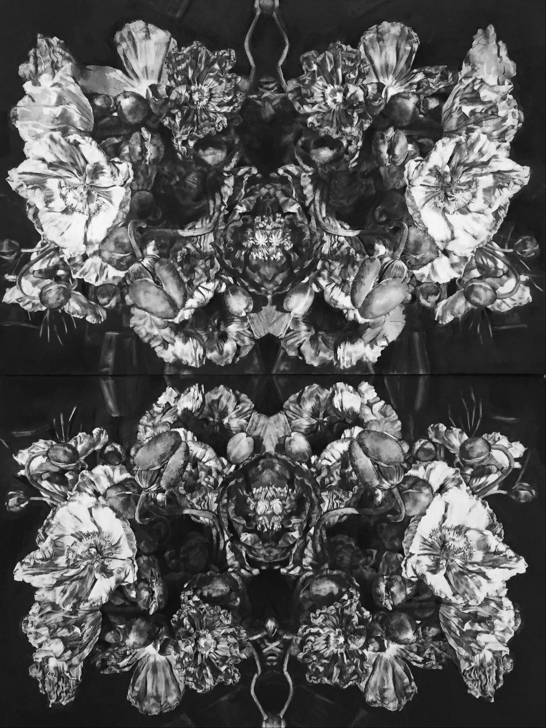   Poppies —Stillness in movement,  charcoal on paper, 150cmx220cm  