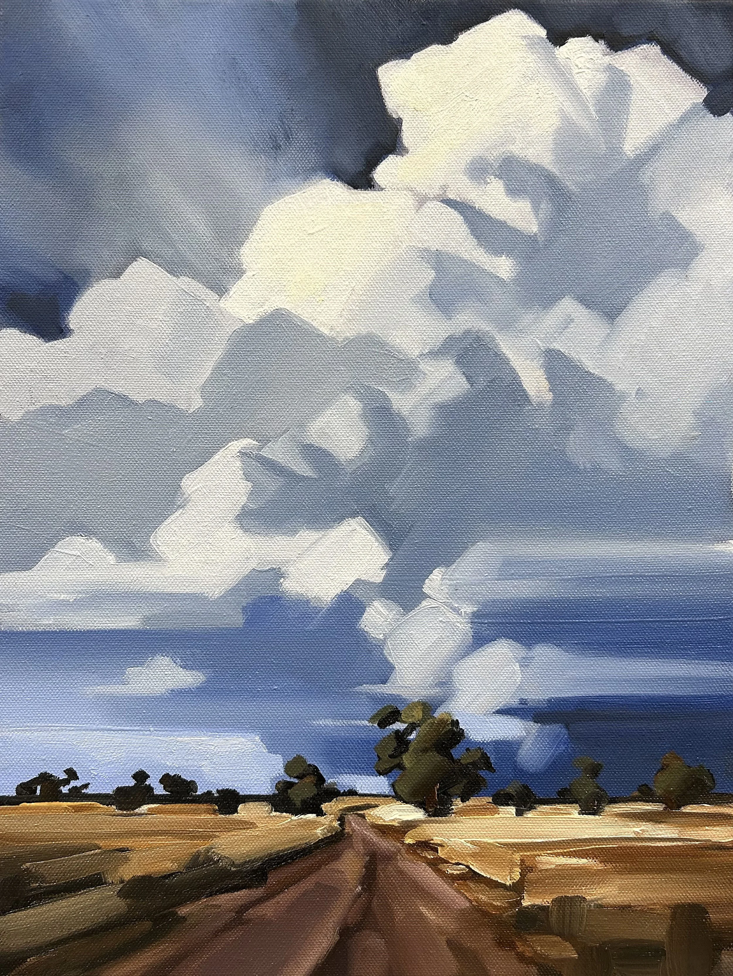   Backroads, Midlands,  oil on canvas, 40×30cm  