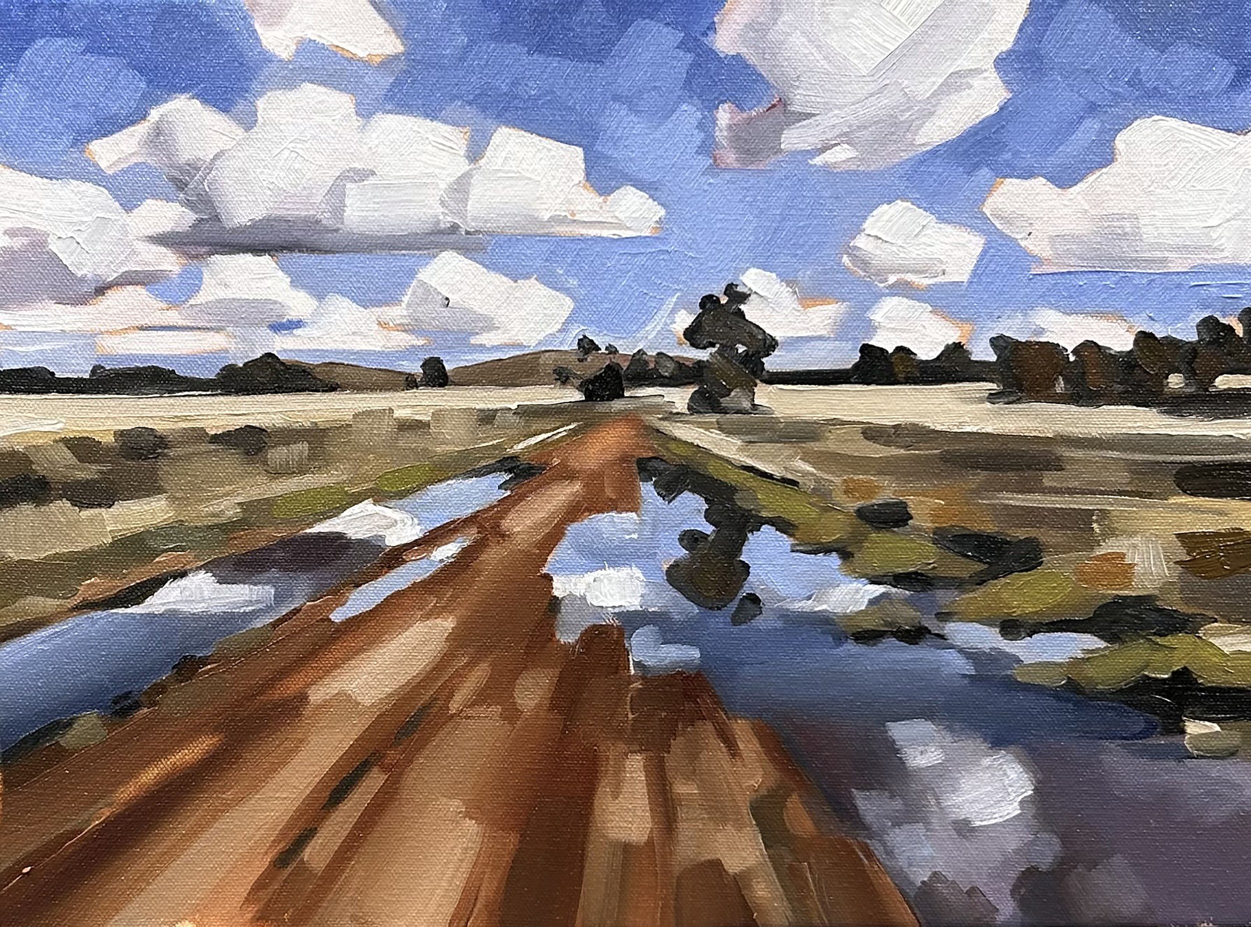   Backroads, Central West,  oil on canvas, 30×40cm  