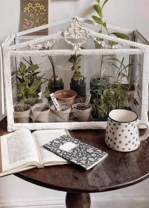 Greenhouse Terrarium DIY — être dans la lune