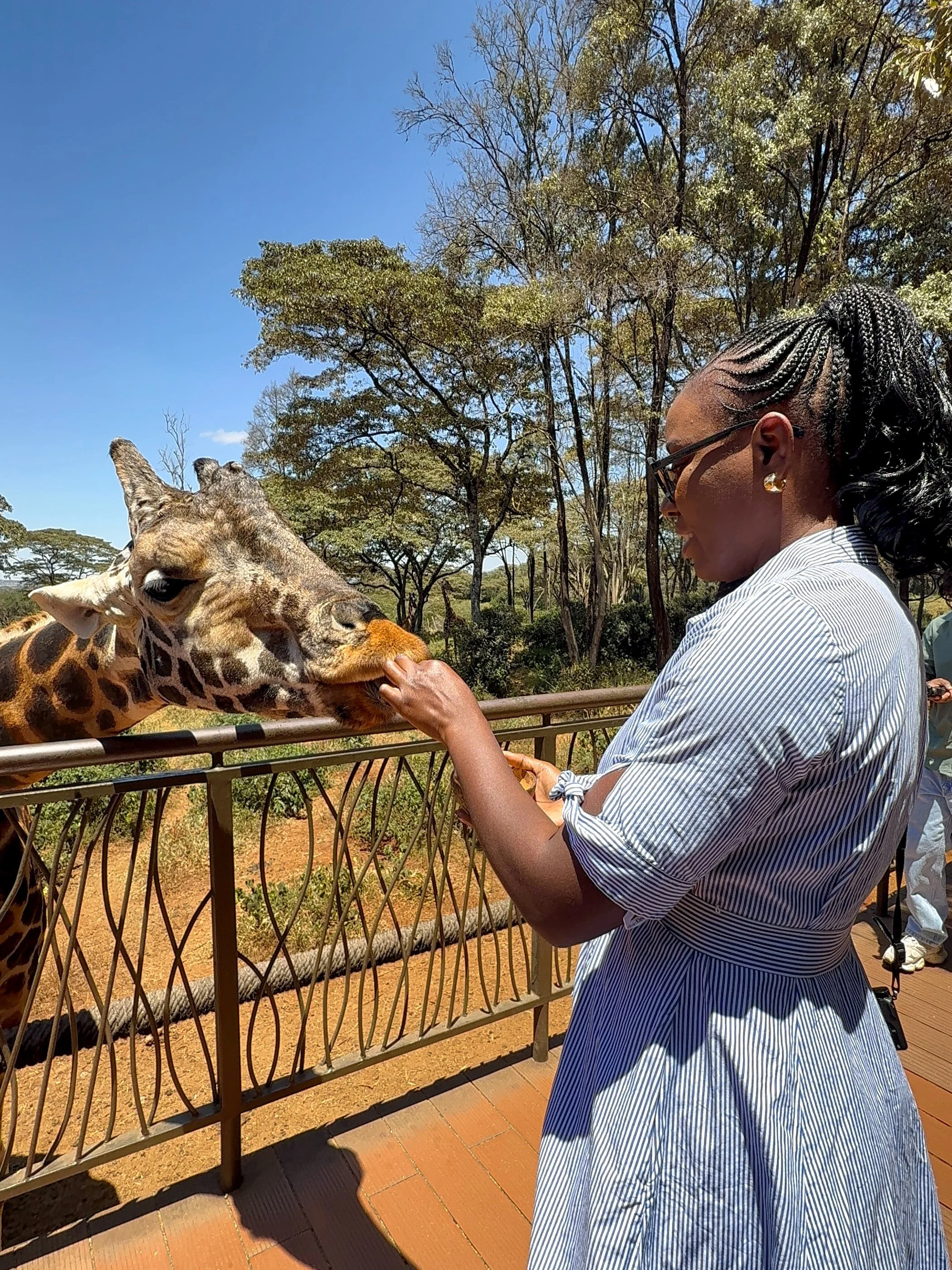 3 Days in Nairobi, Kenya:            The Itinerary I’d Give My Friend