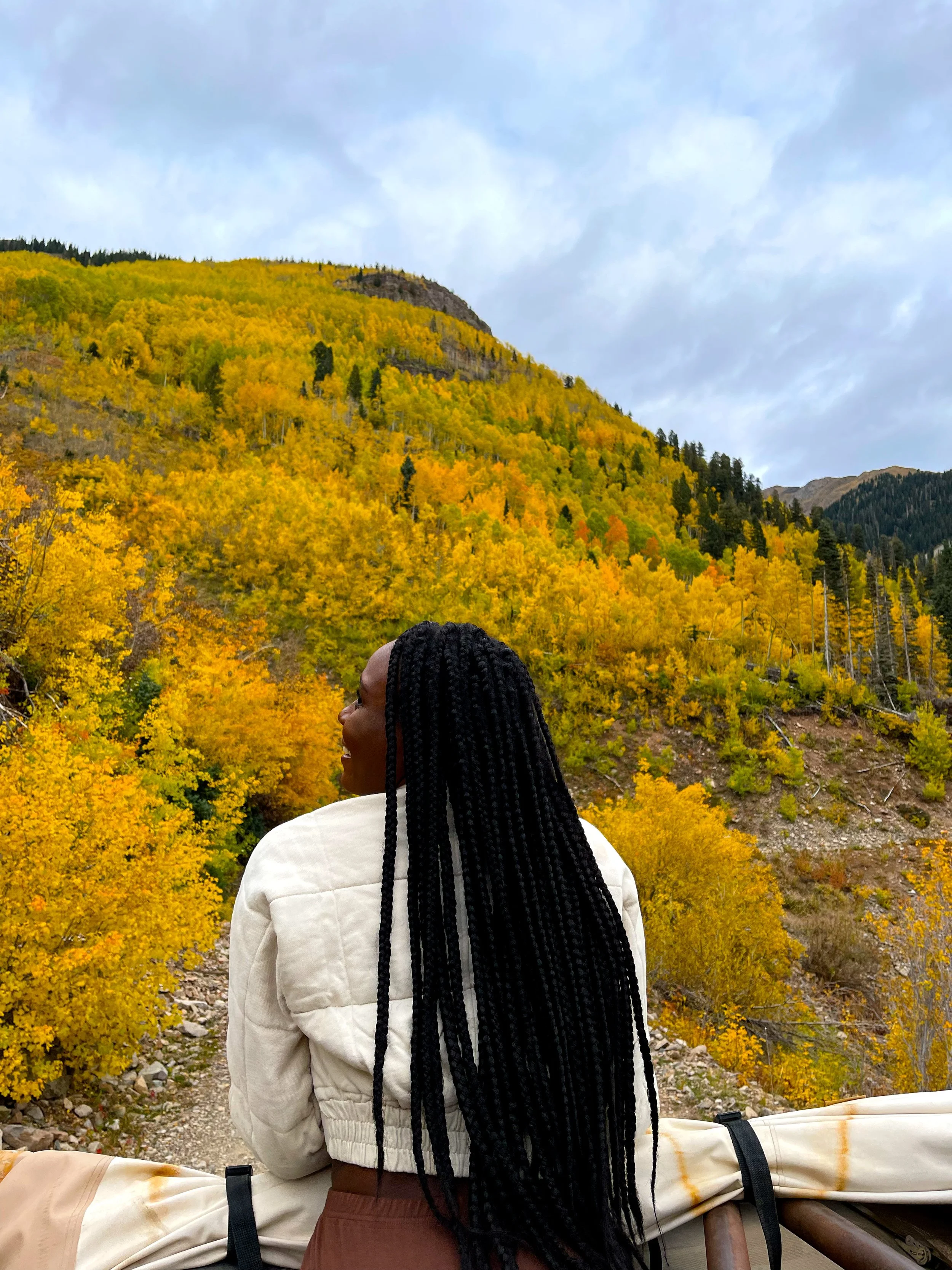 Experience Colorado during Fall Foliage: 3 Reasons Why You Should Road Trip