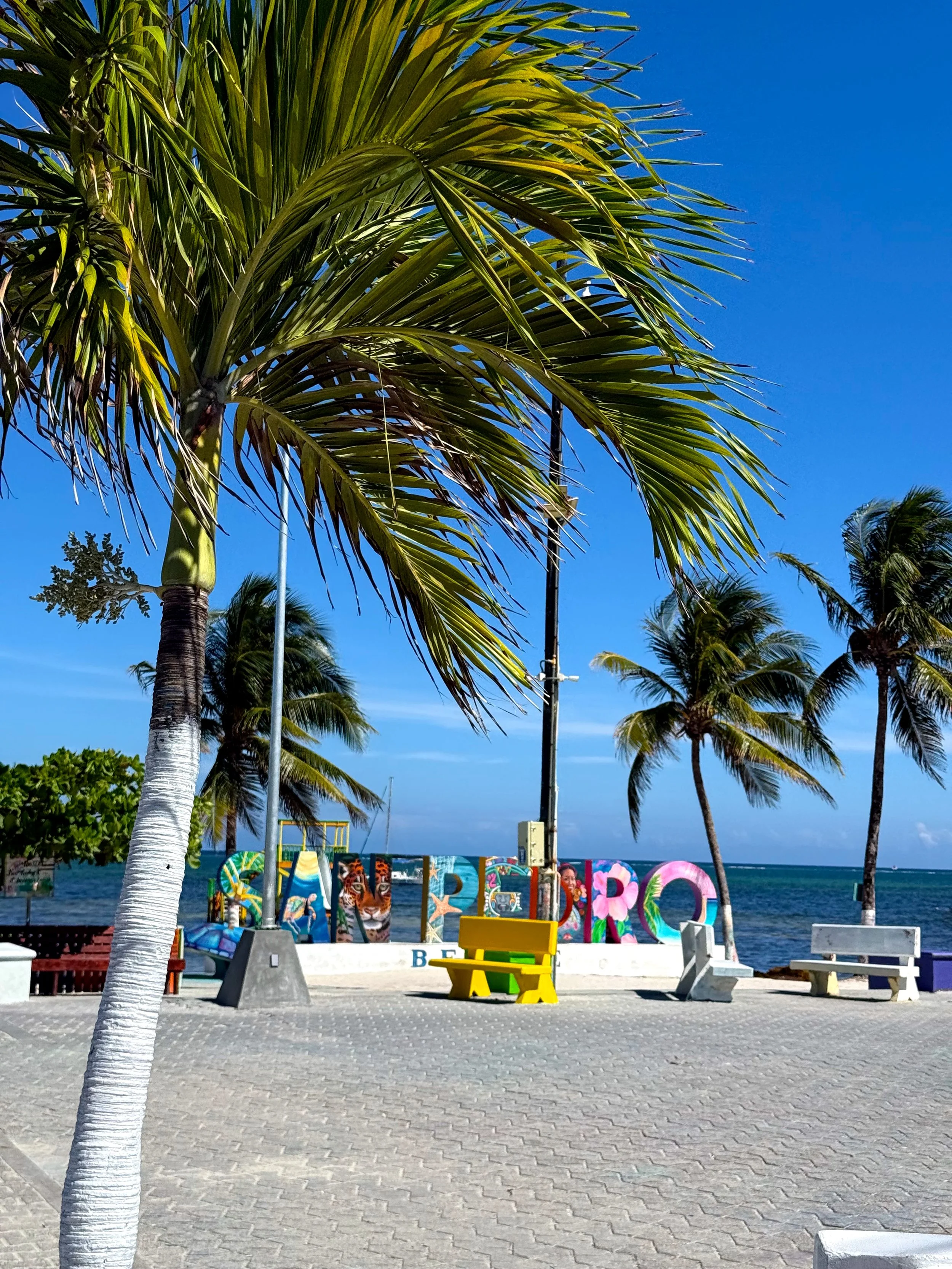 A picture of the San Pedro Sign in San Pedro Belize