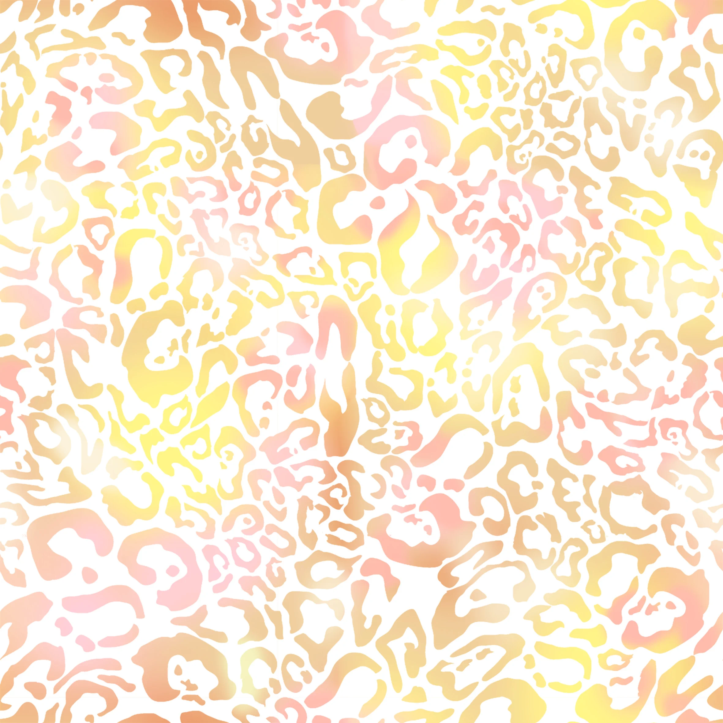 p104.jpg