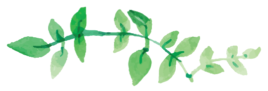 BMT-flowers-5.png