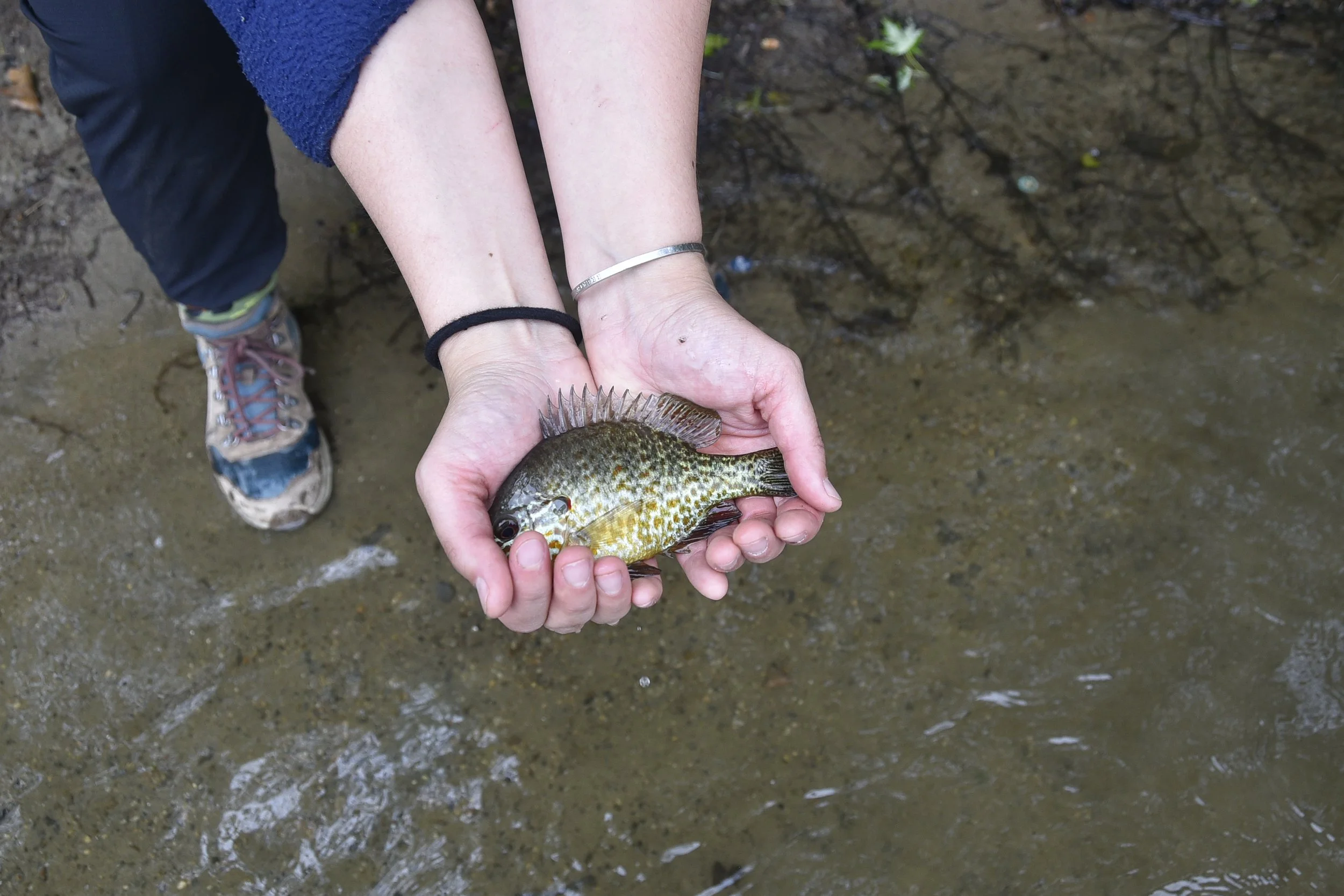 Fishing on the Upper Mystic