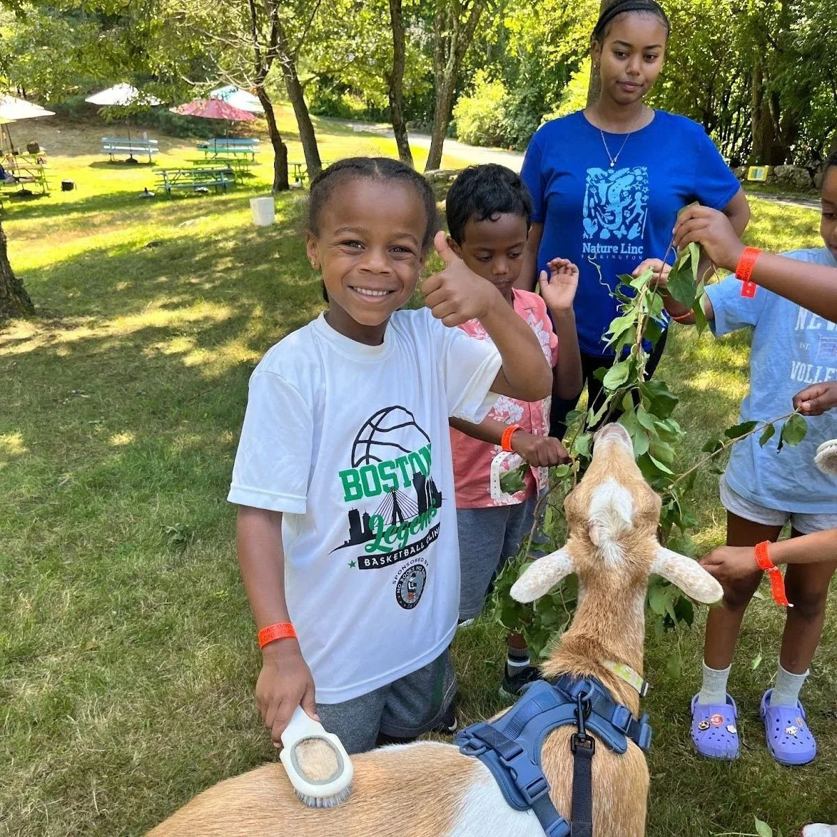Summer Field Trips at Nature Linc