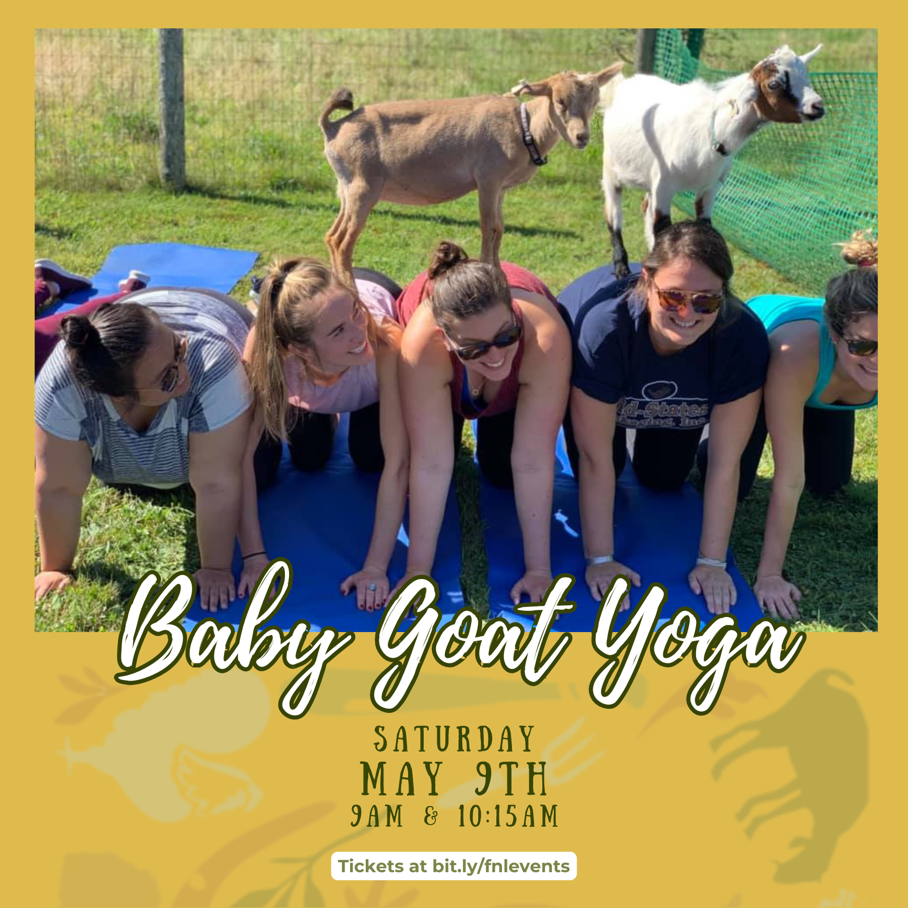 Baby Goat Yoga