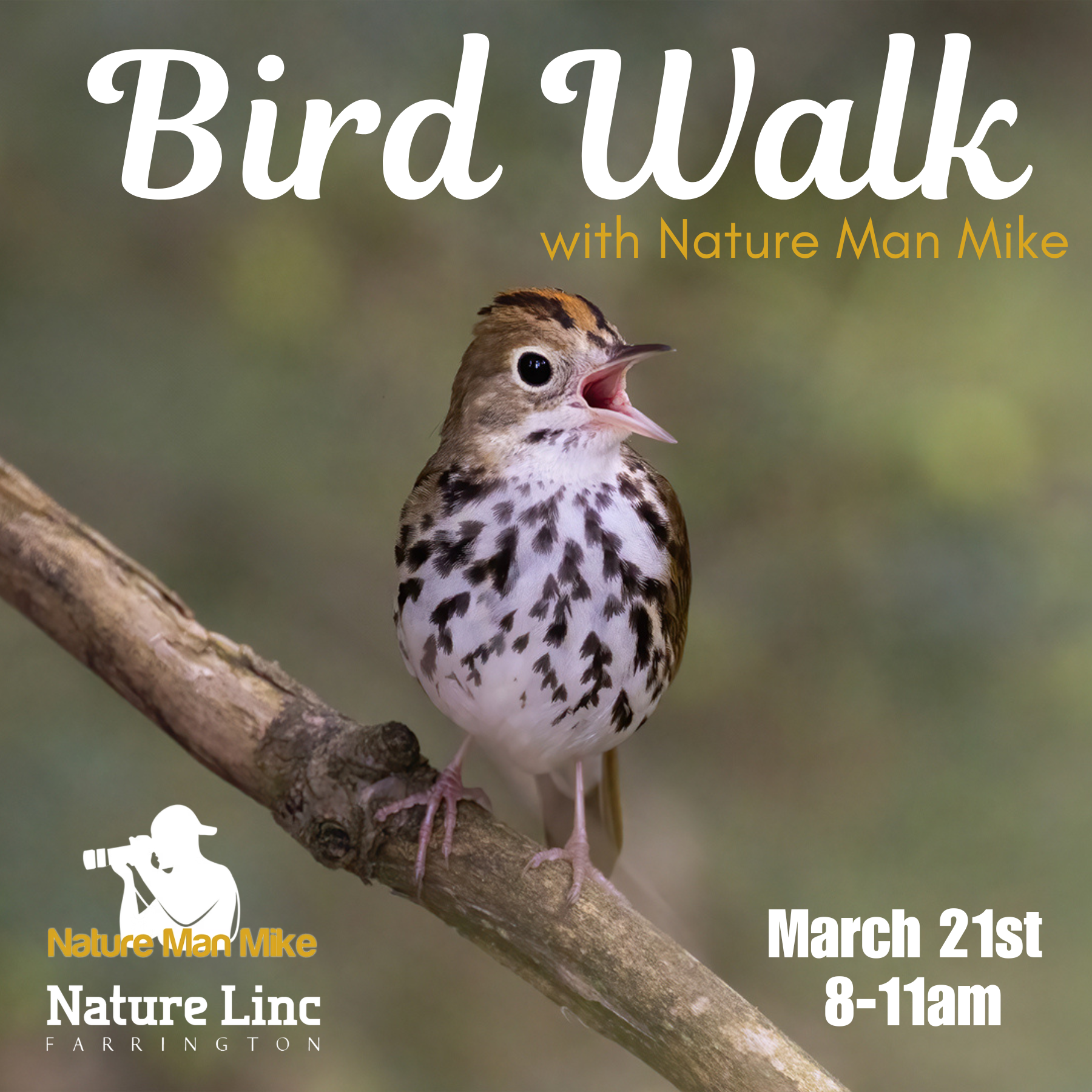 Bird Walk with Nature Man Mik