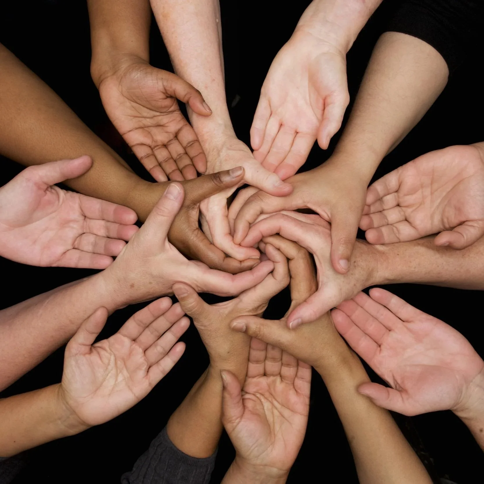 Equity at Nature Linc