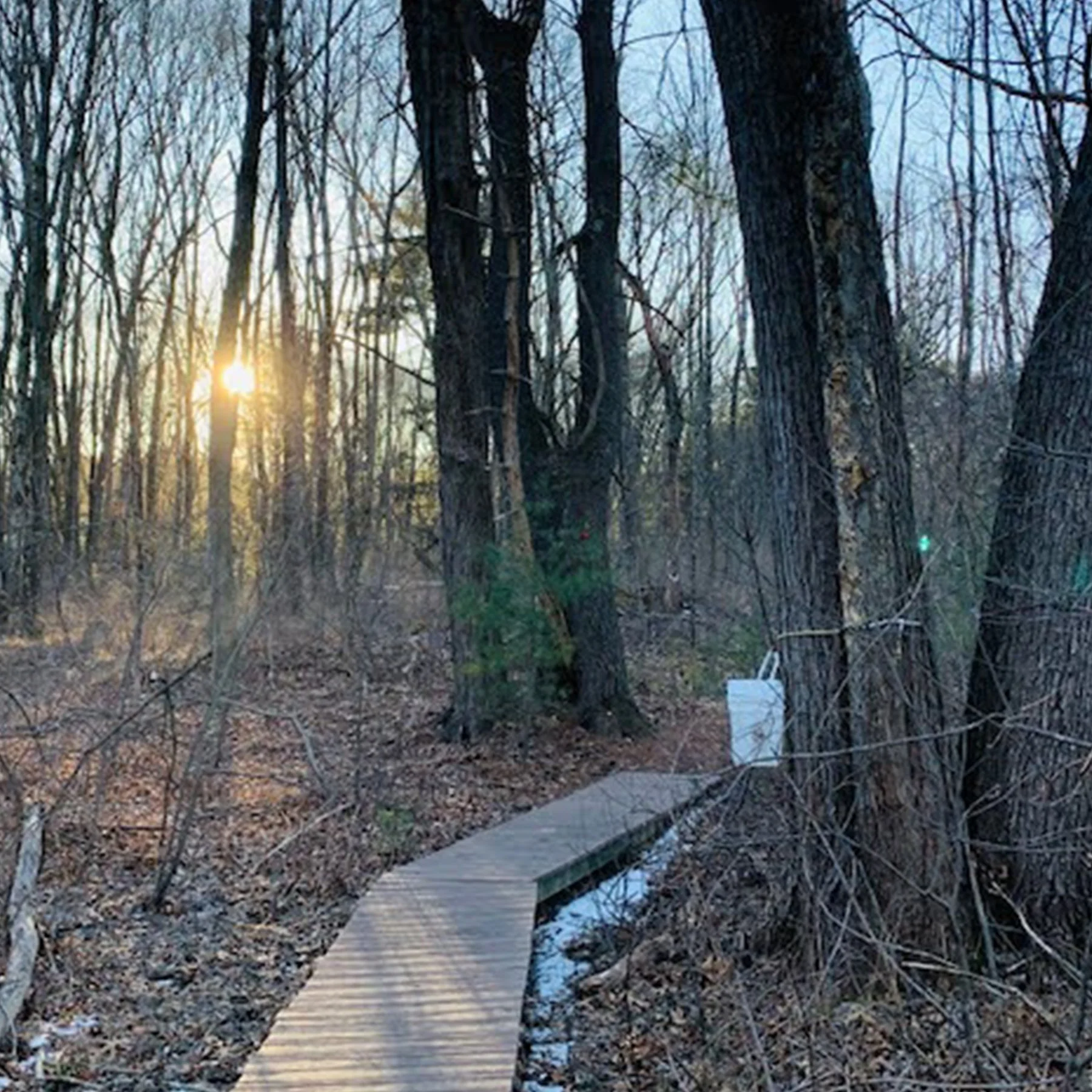 Burlington Parks and Recreation Visit to Nature Linc
