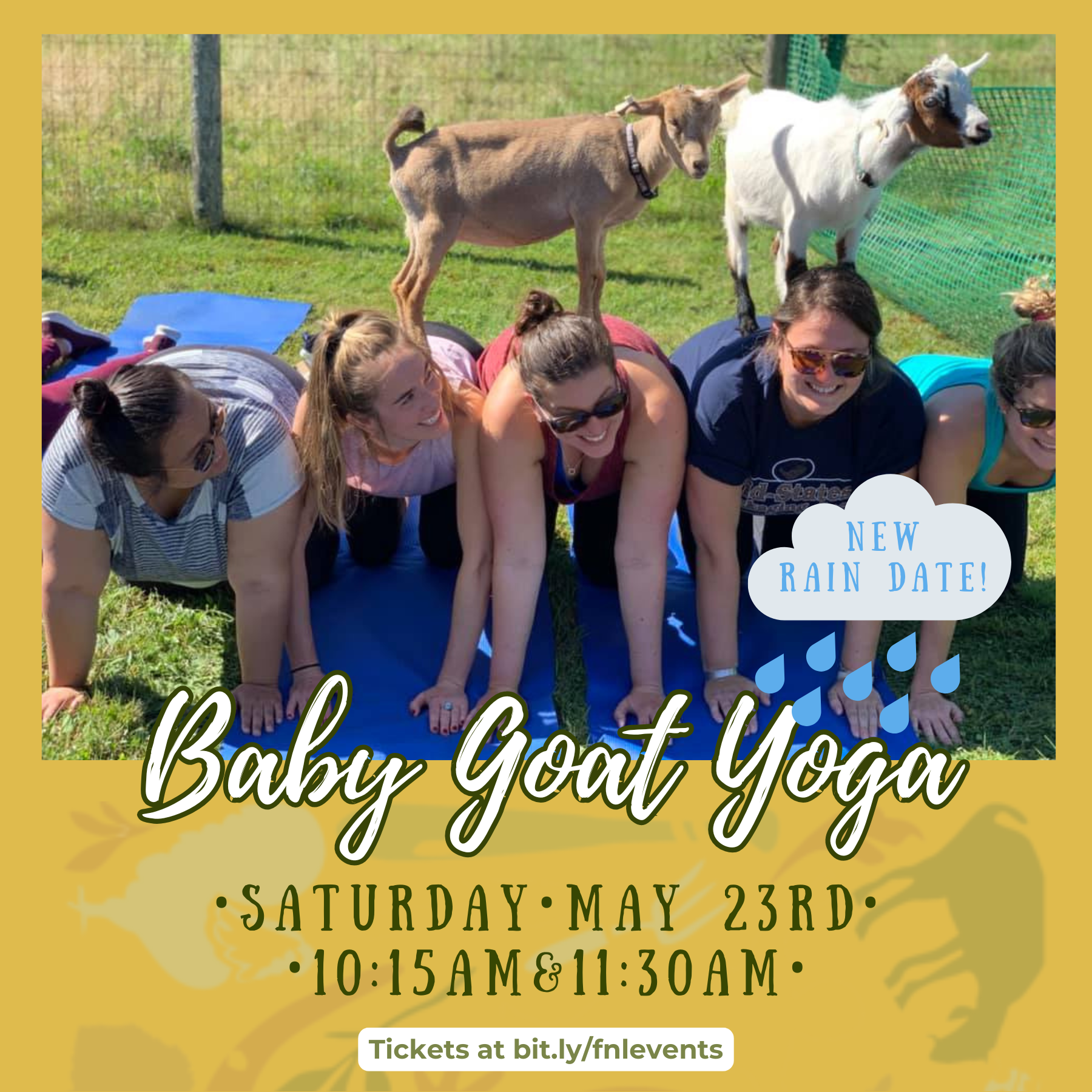 Baby Goat Yoga