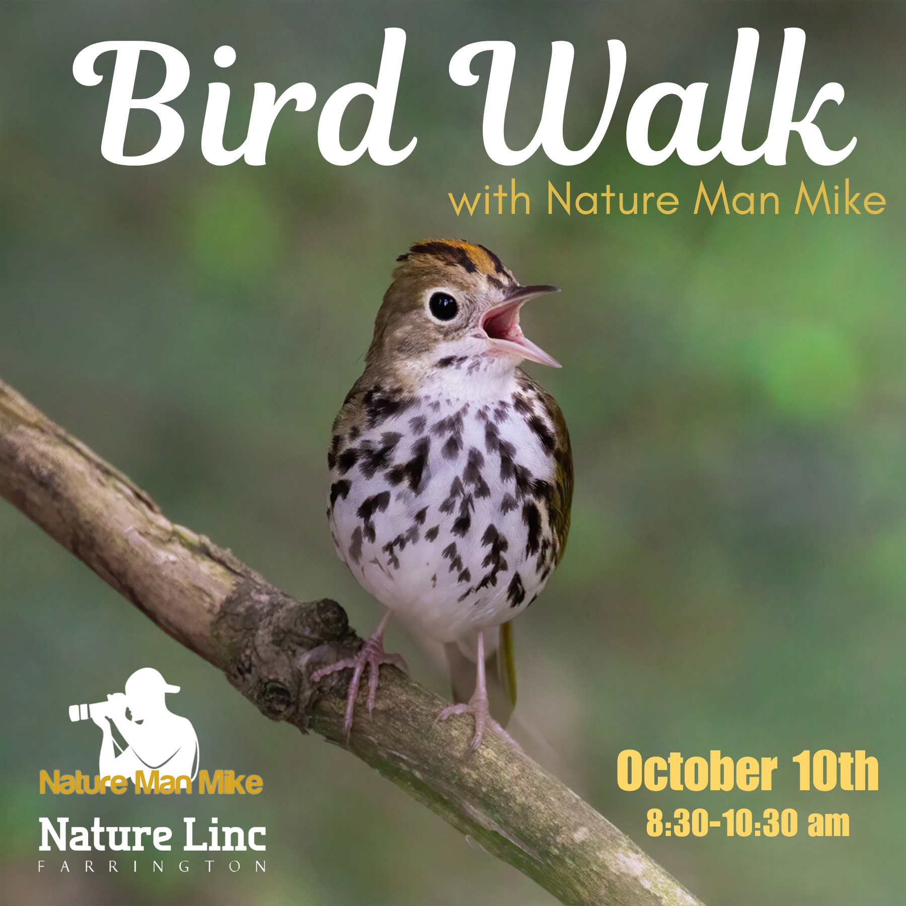 Fall Bird Walk with Nature Man Mike