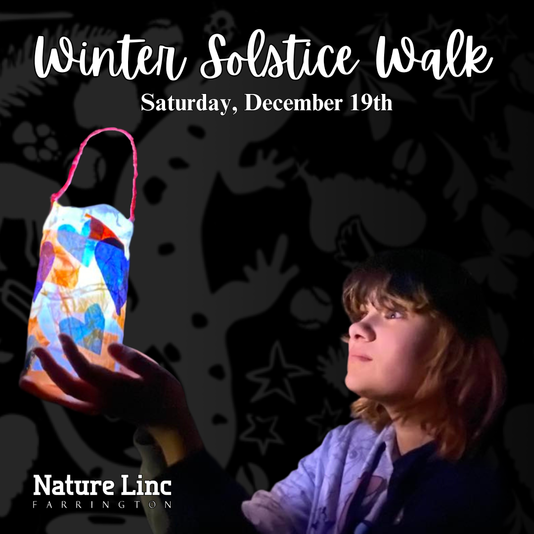 Winter Solstice Walk