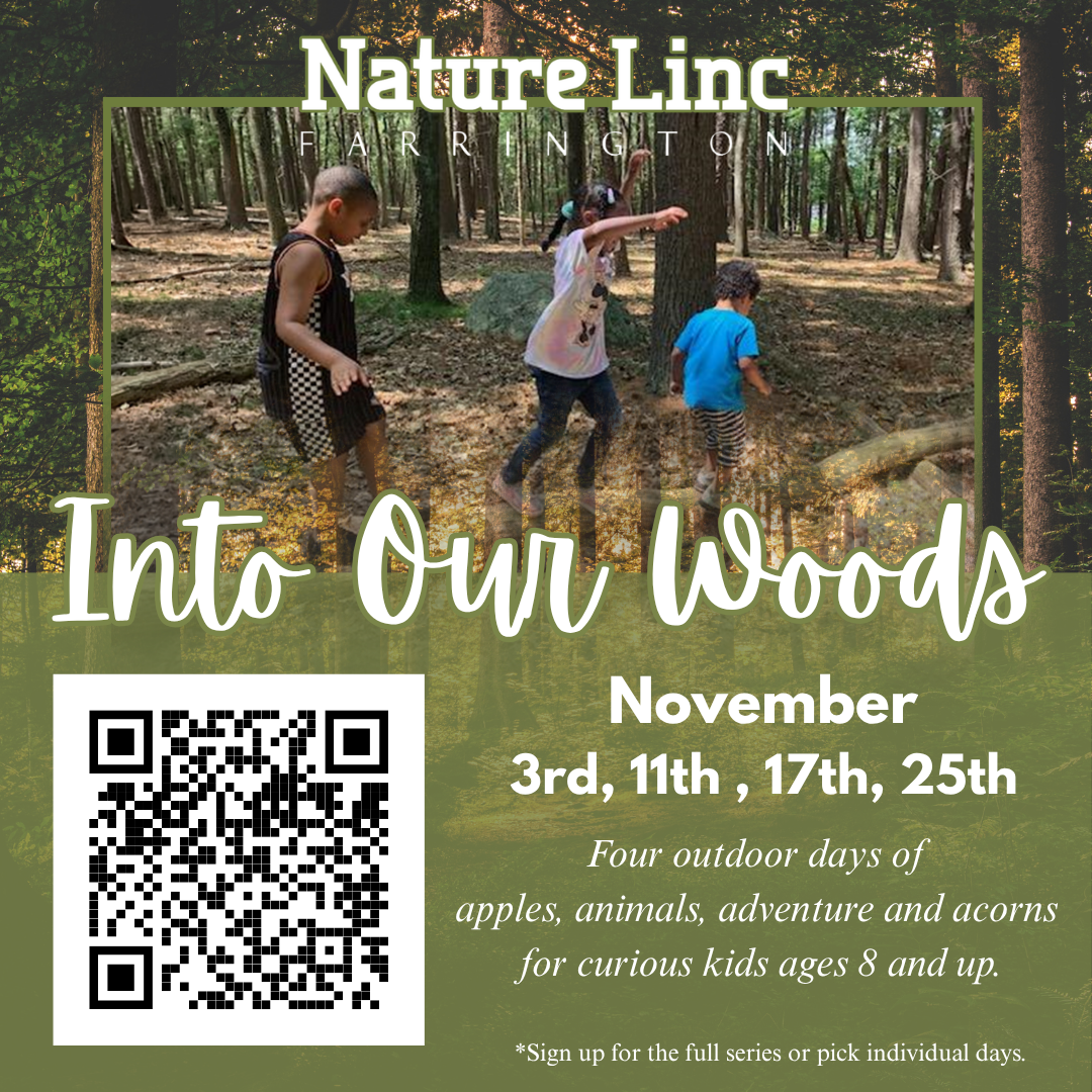 Into Our Woods: A Youth Forest School Series of Workshops