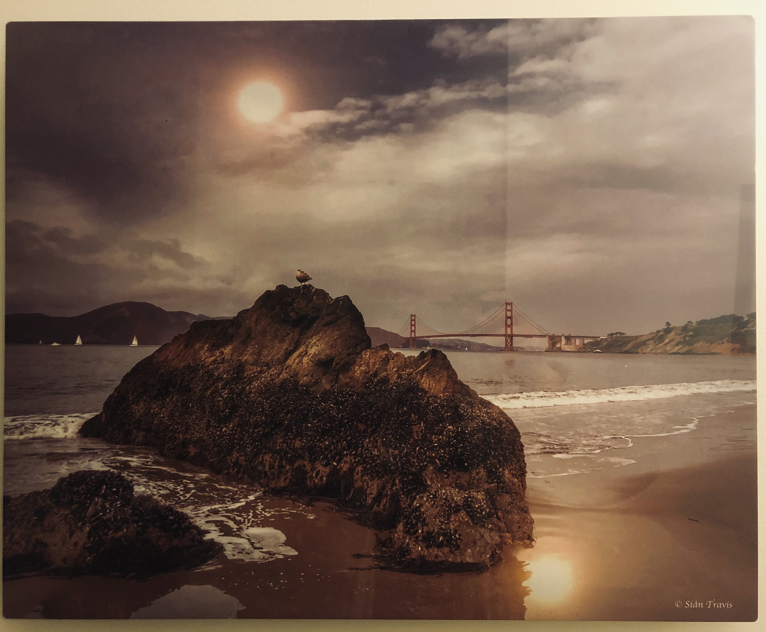 SAN FRANCISCO BEACH - Metal Print, 16X20, Glossy White