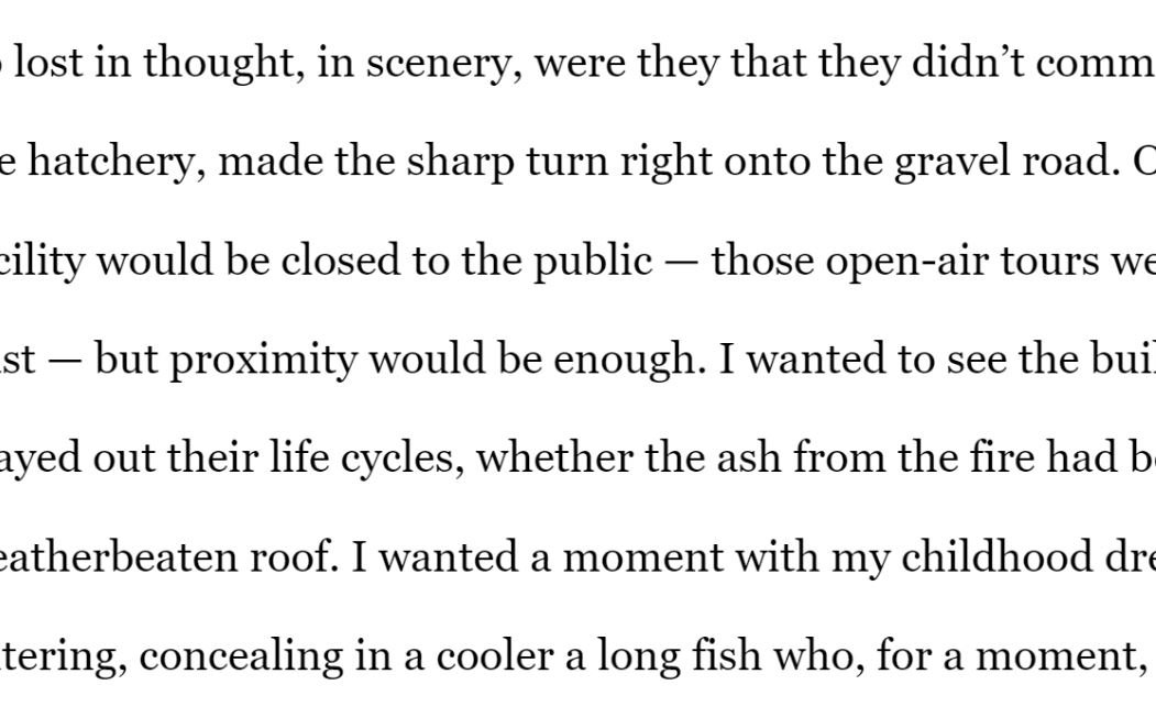 Kate Garklavs - Two Flash Fictions