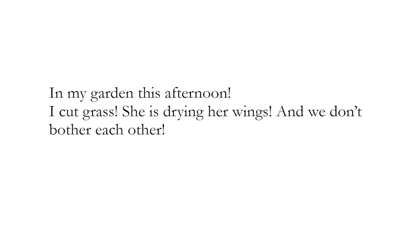 Mirjam Frosth - Four Poems