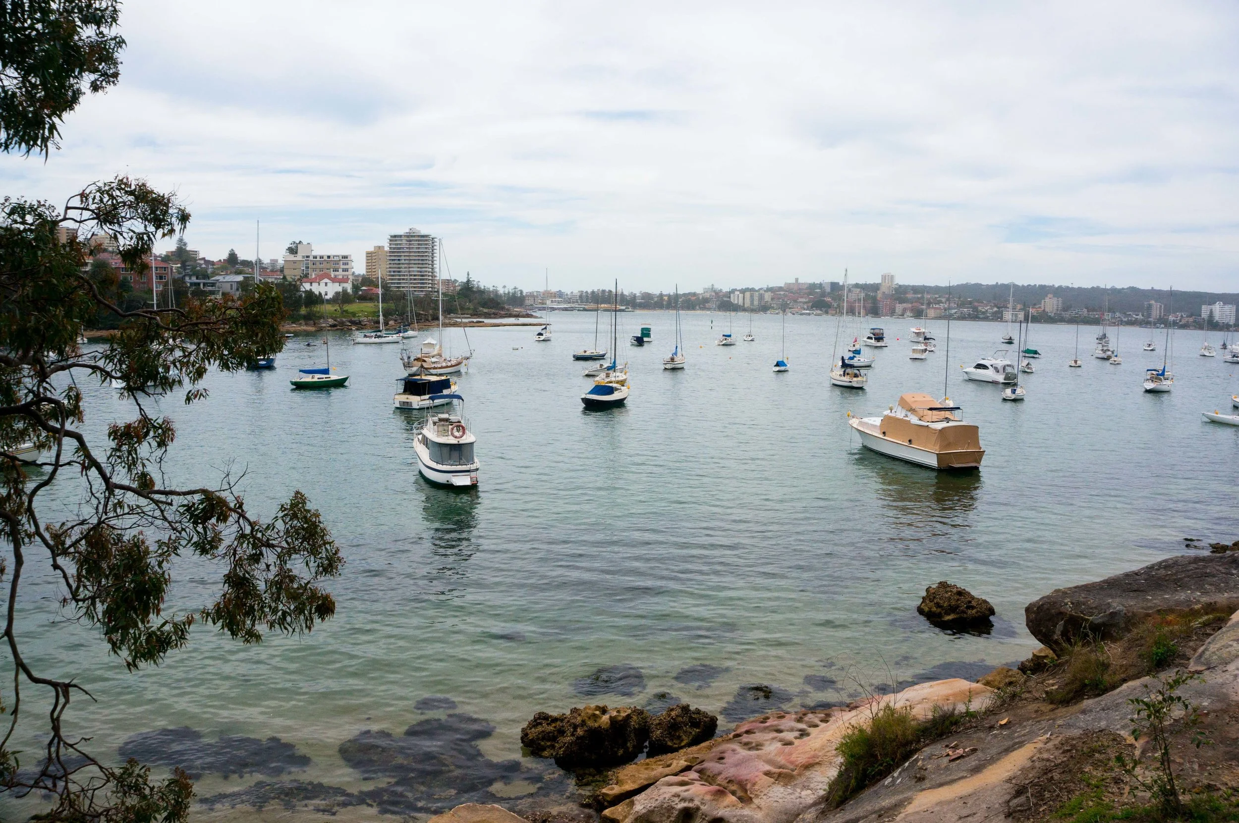 Manly to Spit Bridge Walk