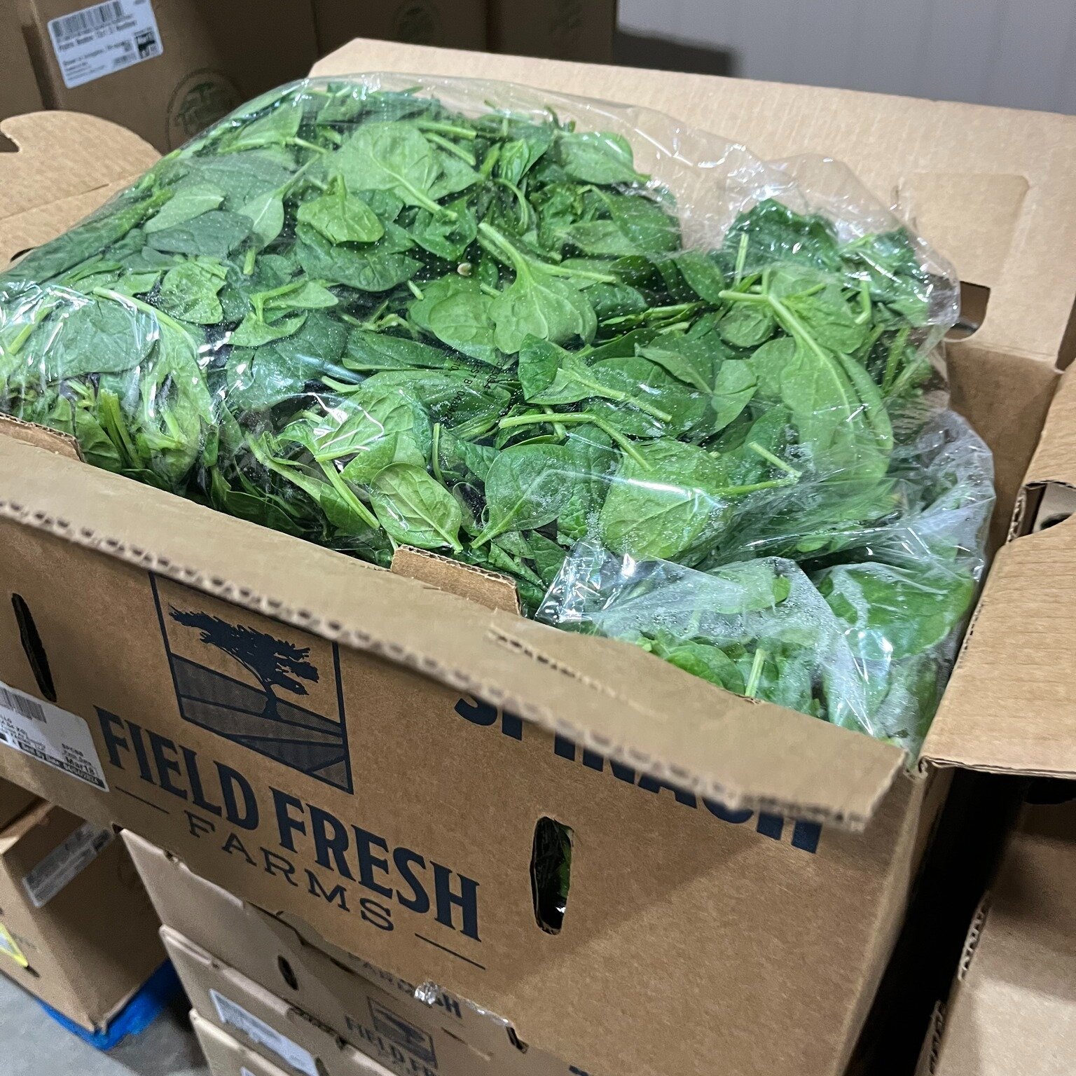 What's in the warehouse? Field Fresh Farms sustainably grown spinach.
Cleaned California, 4/2.5lb, item 2344
Stemless California, 4/2.5lb, item 2347
Baby, 4/2.5lb, item 2866
Baby, 4lb, item 2340
Baby Organic, 4lb, item 3682

#NationalSpinachDay #GetF