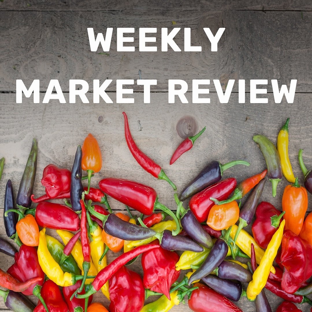 Market Alert 🚨
EXTREME: Hot Peppers 🌶️, Table Grapes 🍇, Oranges🍊
ESCALATED: Asparagus, Avocados 🥑, Basil, Broccoli, Red Cabbage, Carrots 🥕, Cauliflower, Lettuce, Limes, Onions 🧅, Green Onion, Potatoes 🥔, Snow Peas, Tomatoes 🍅, Watermelon 🍉
