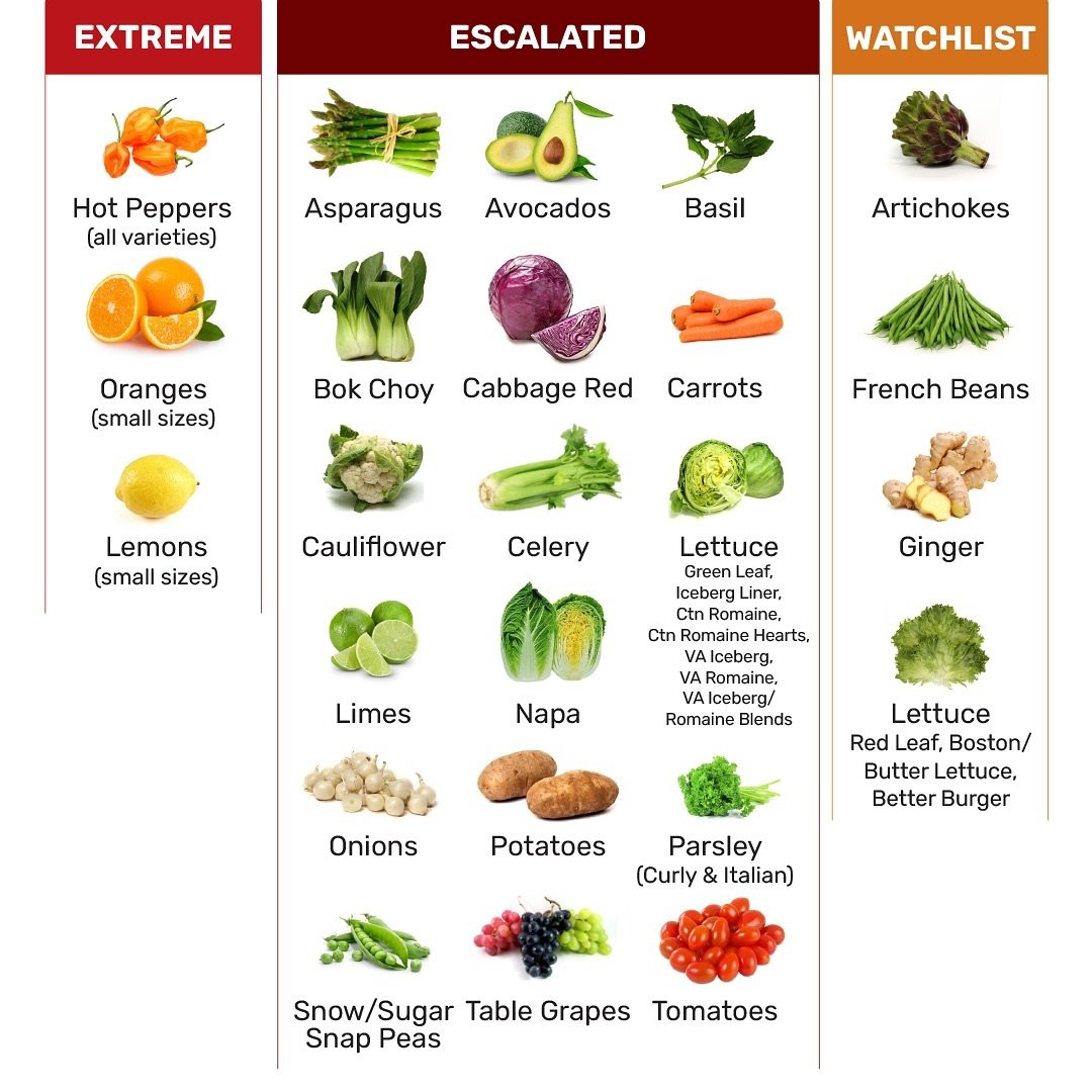 Market Alert 🚨
EXTREME: Hot Peppers 🌶️, Oranges🍊, Lemons 🍋
ESCALATED: Asparagus, Avocados 🥑, Basil, Bok Choy, Red Cabbage, Carrots 🥕, Cauliflower, Celery, Lettuces 🥬, Limes 🍋&zwj;🟩, Napa, Onions 🧅, Potatoes 🥔, Parsley, Snow Peas 🫛 , Table