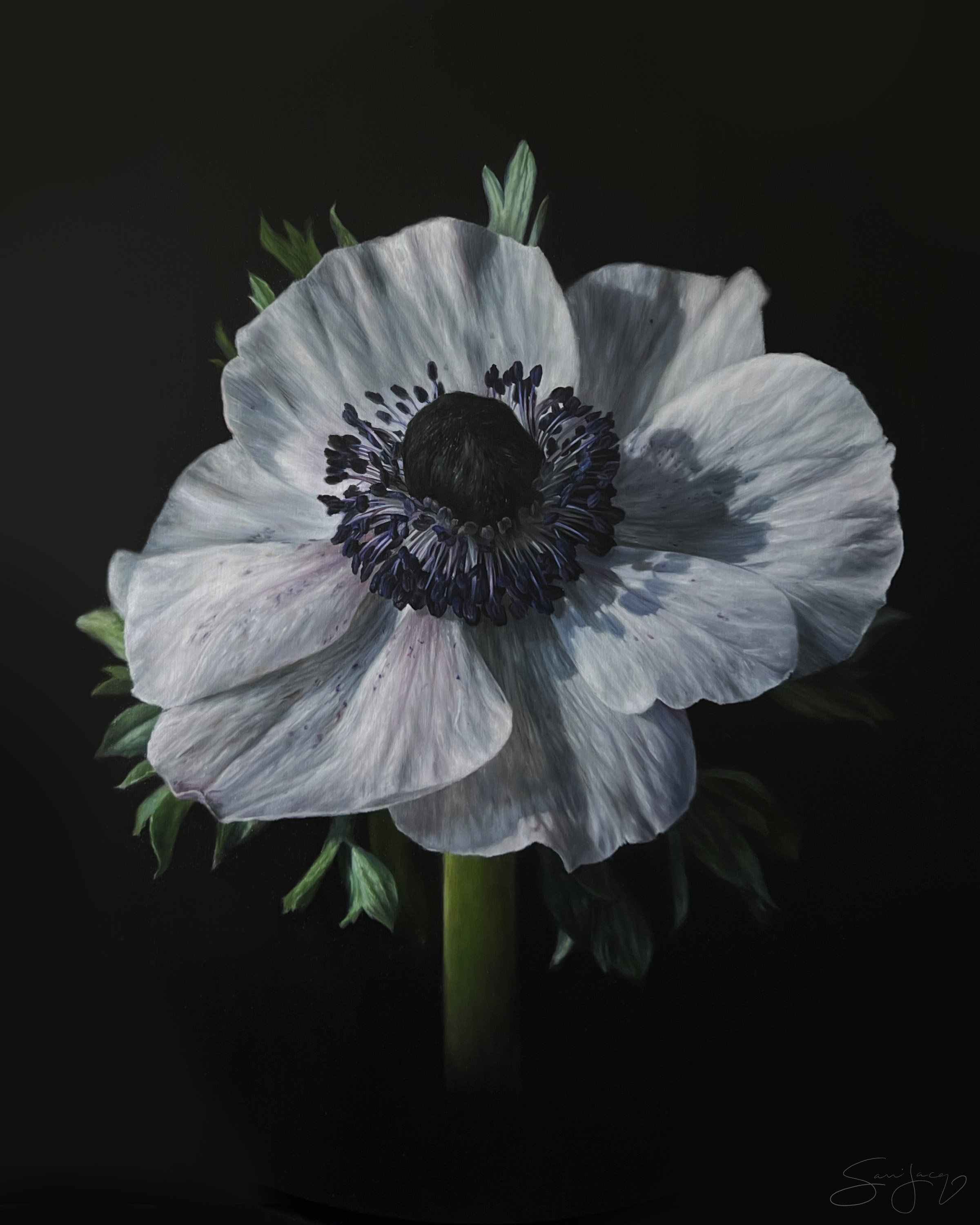 waiting for warmth 8x10 print.jpg