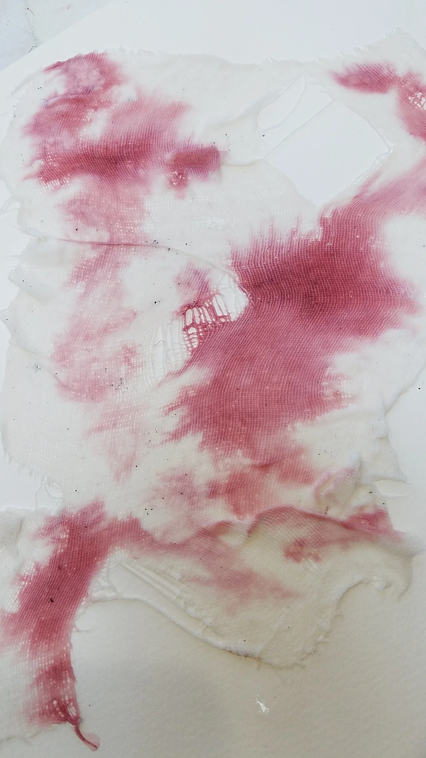 2017-01-27 09.51.05.jpg