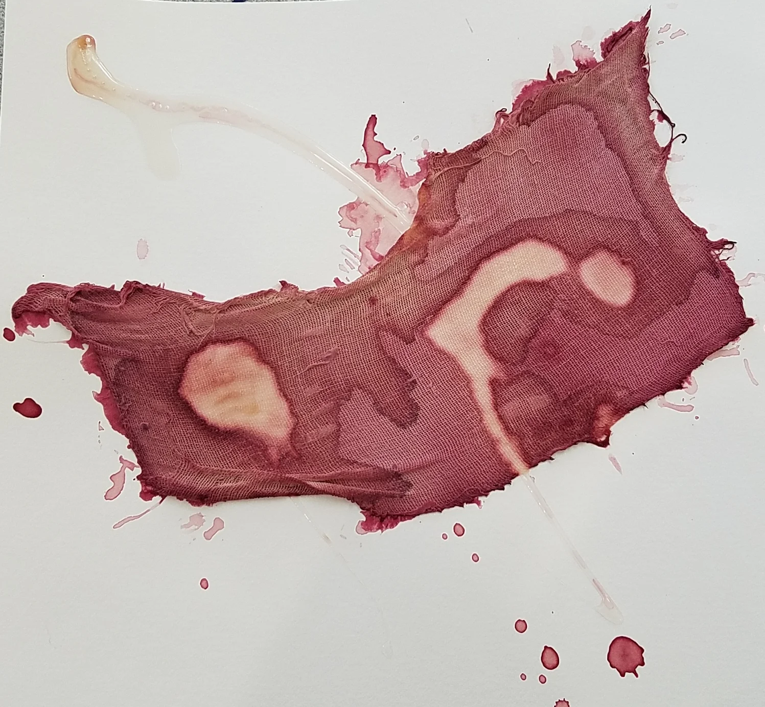 2017-05-02 08.55.01-1.jpg