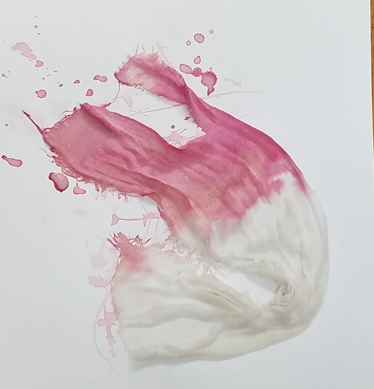 2017-06-05 14.47.24.jpg