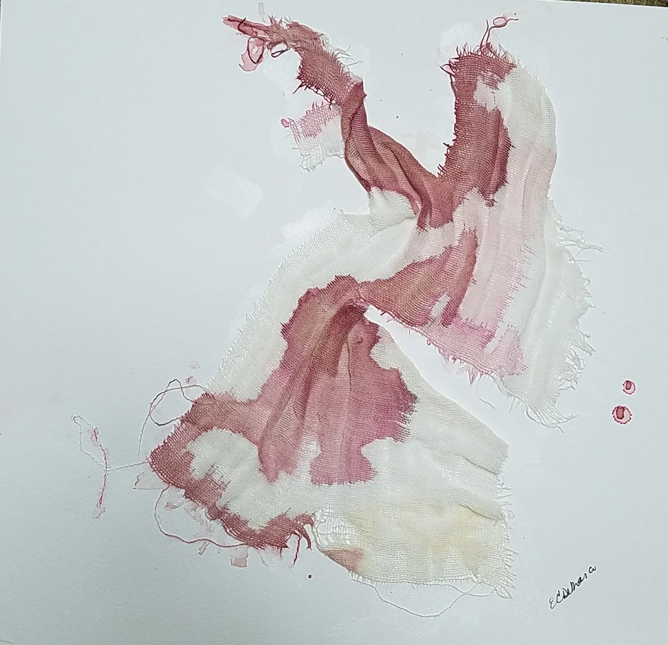 2017-07-25 12.15.09-1.jpg