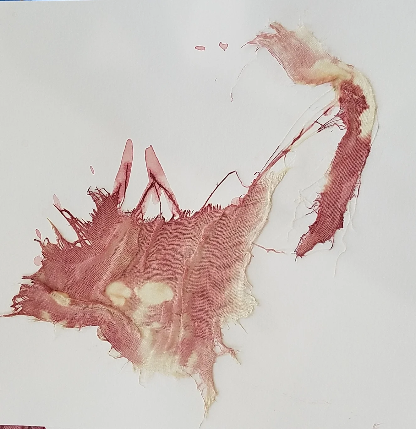 2017-05-02 08.55.17-2.jpg