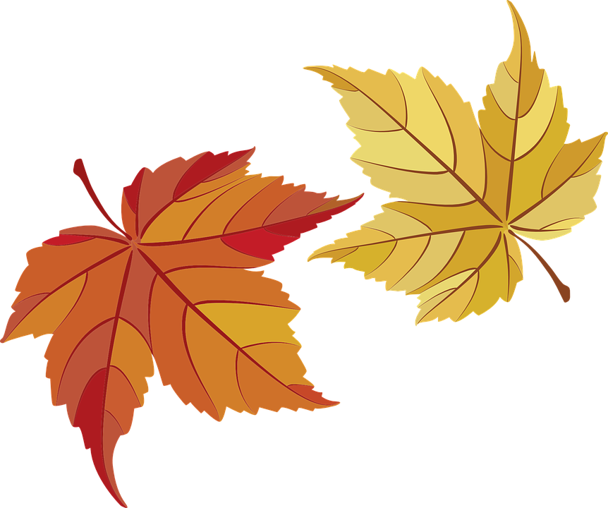 autumnleaf.jpg