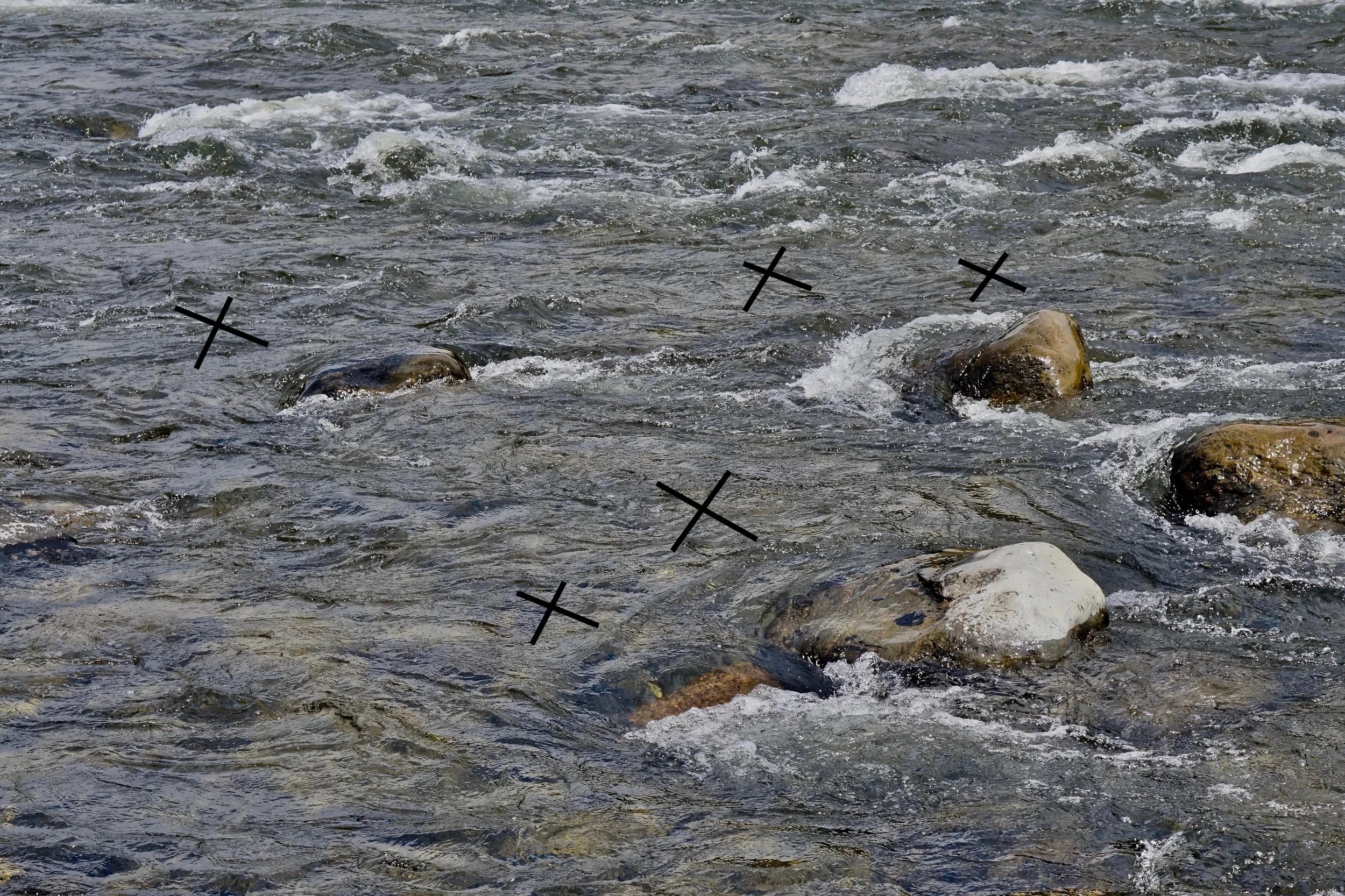 X marks the spot. Even submerged boulders will have a soft upstream pocket.