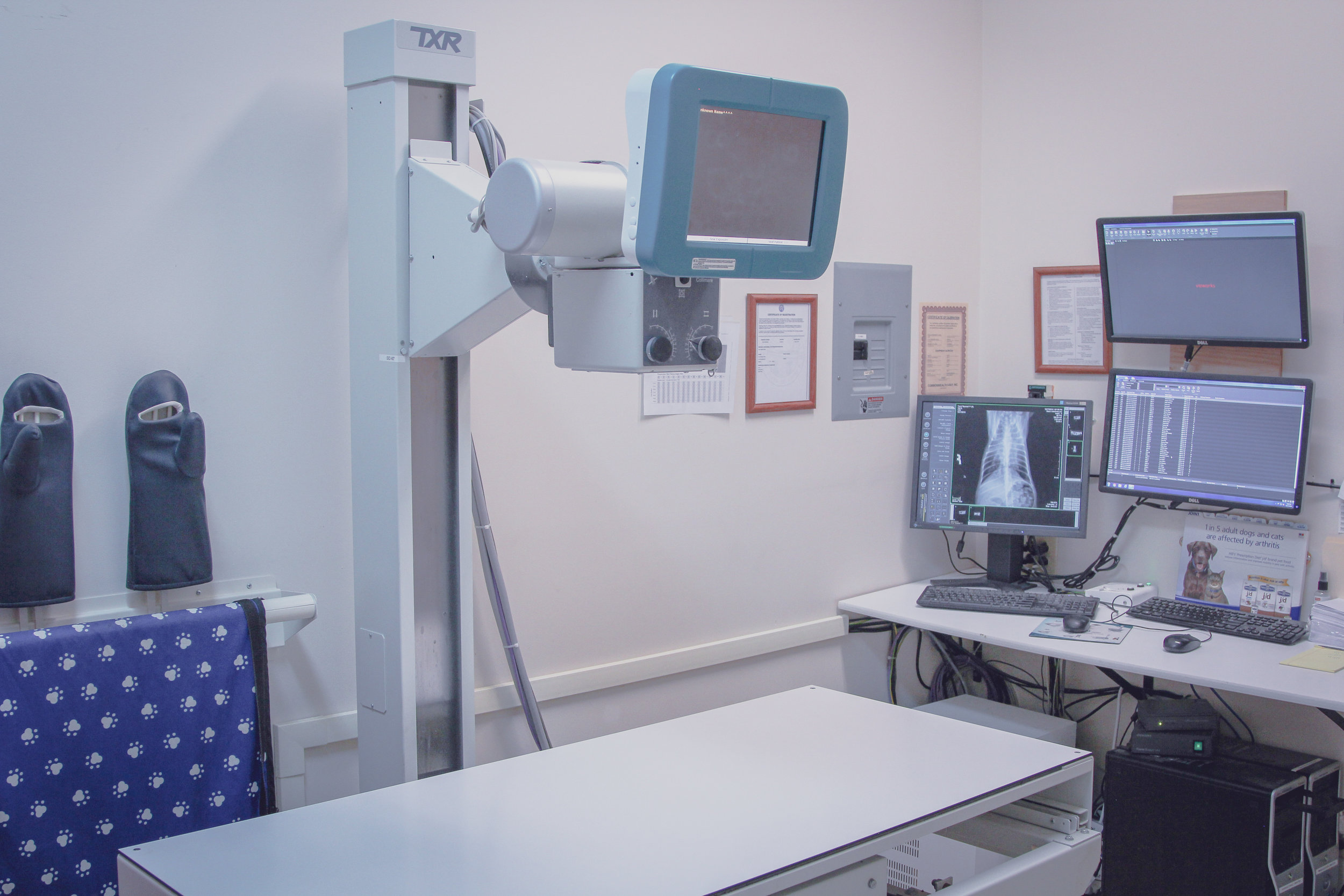 Tour Our Clinic — Mann Vet Clinic