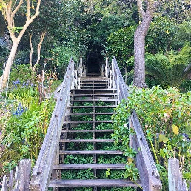 👆There was no sidewalk, just a flight of stairs. It was difficult, beautiful and sweaty. 10/10 Recommend.

In other news, this week I published the first blog post in a new monthly Financial Review series.

This series chronicles my income, savings 
