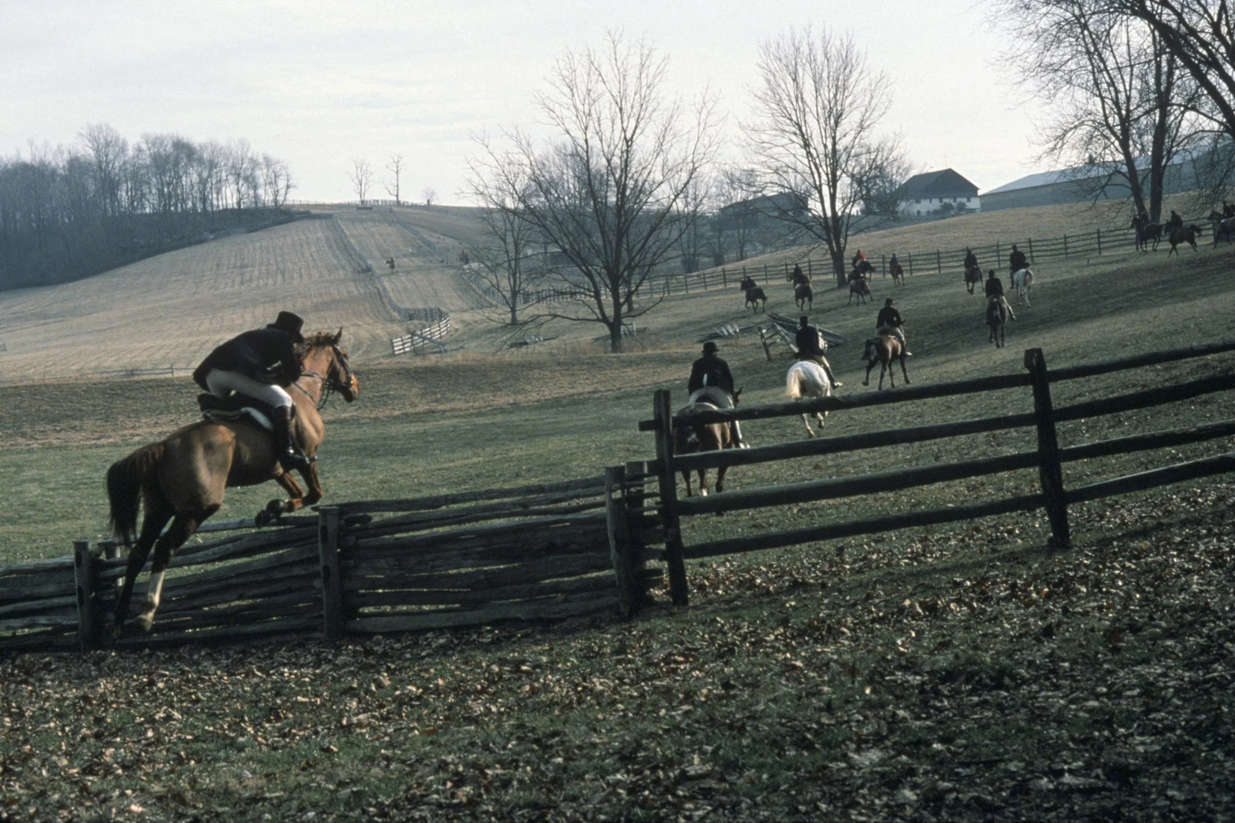 1978