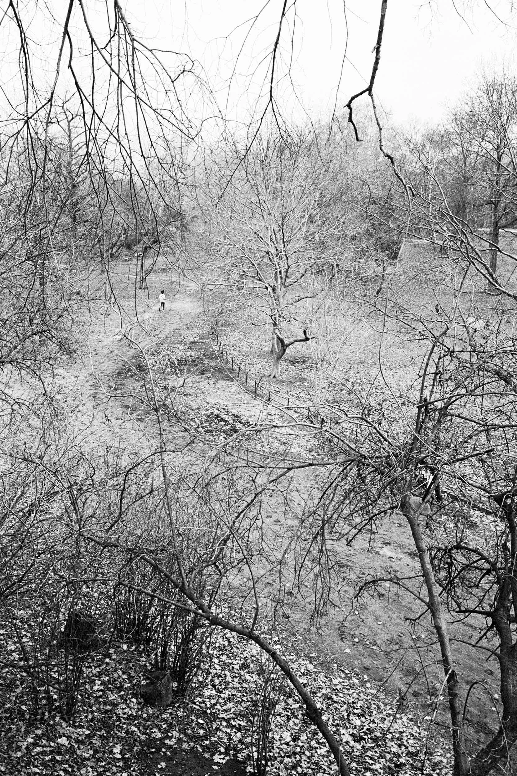 Central Park in New York City. 1983