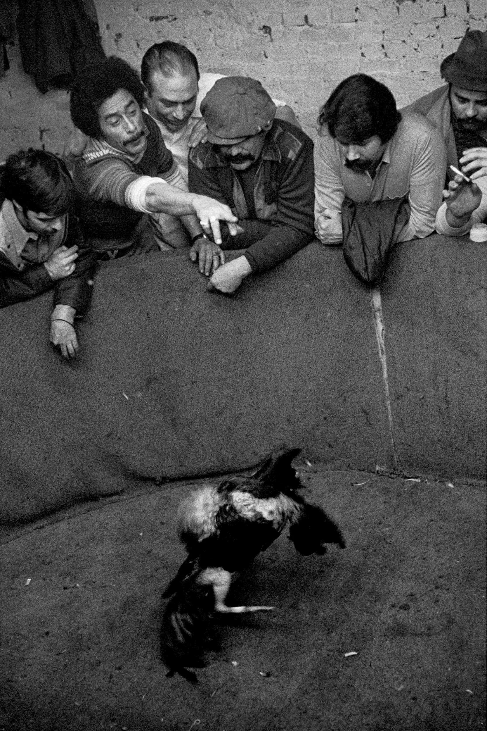 Below Houston Street; from Alphabet City . 1978
