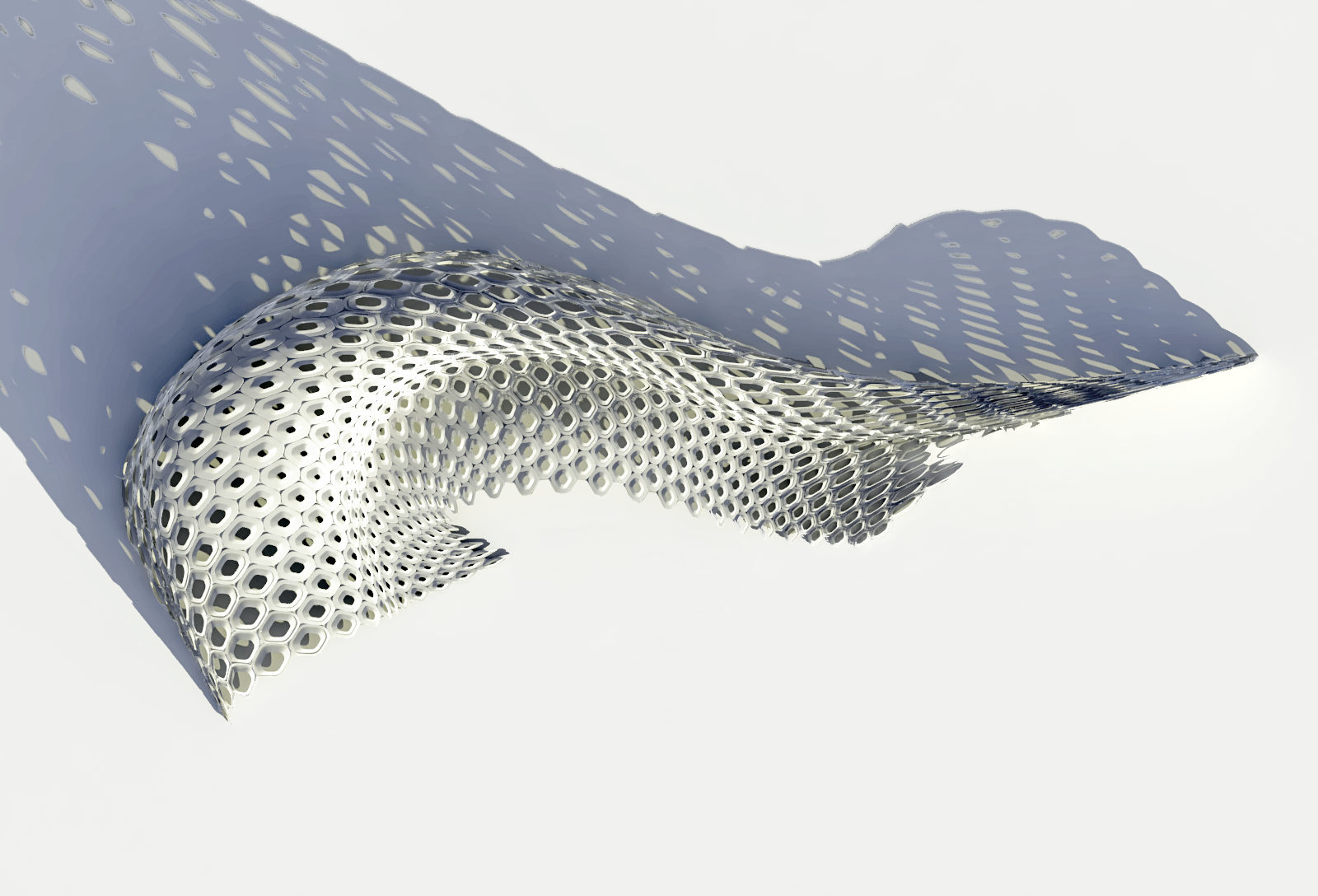 Architectural Skins