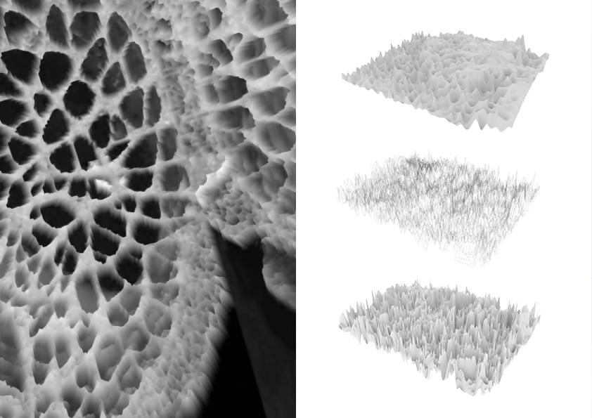 Form