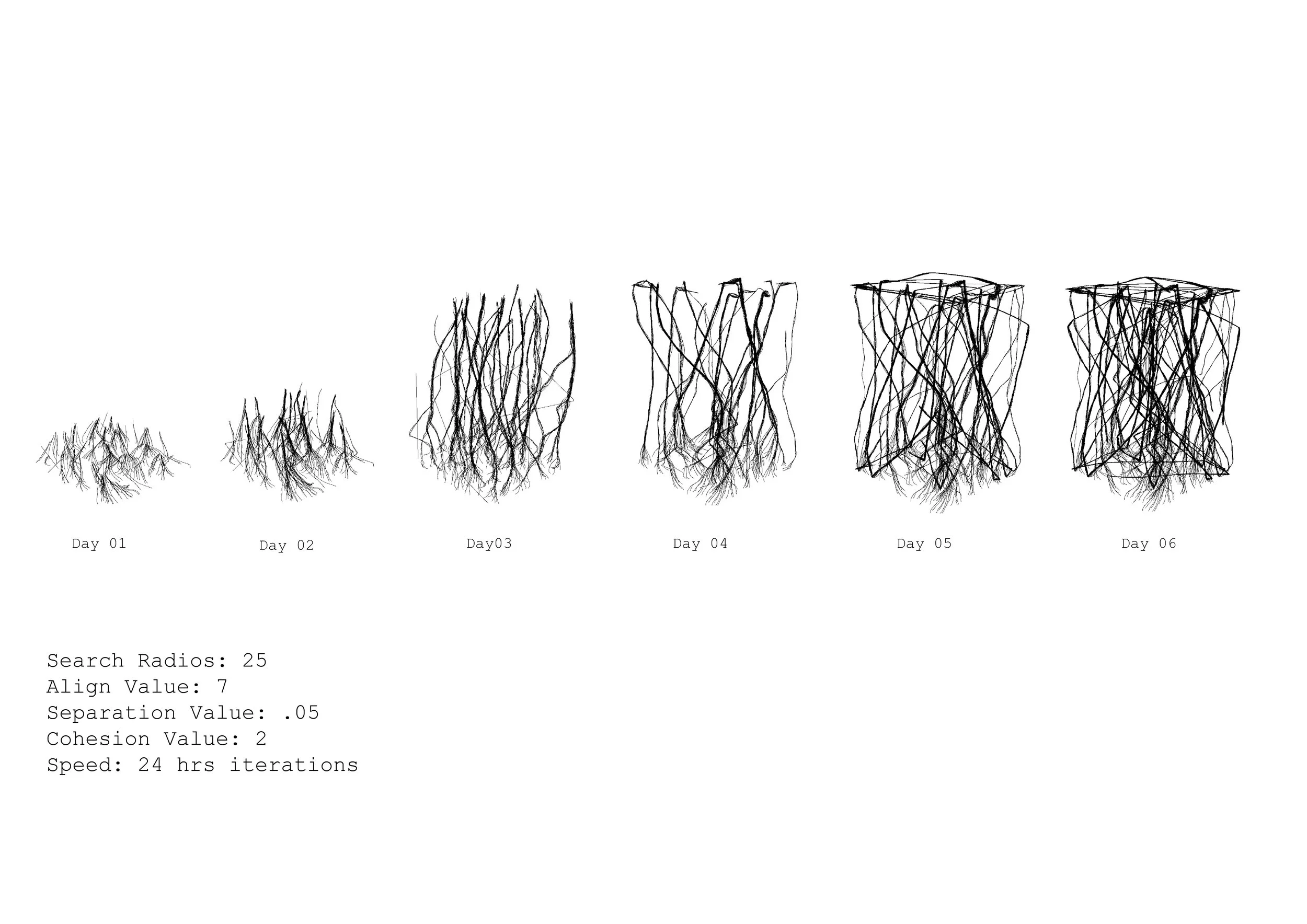 Computational Growth