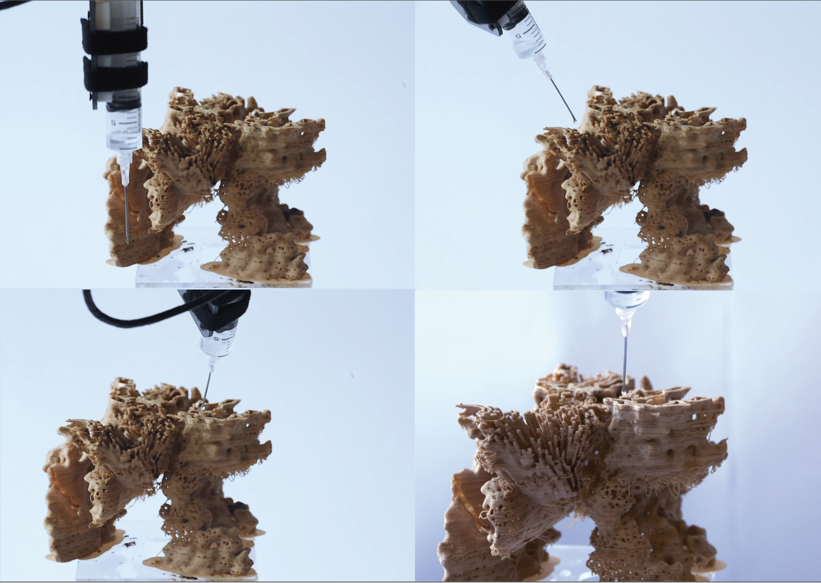 Screen Shot 2020-08-15 at 2.11.26 pm.png